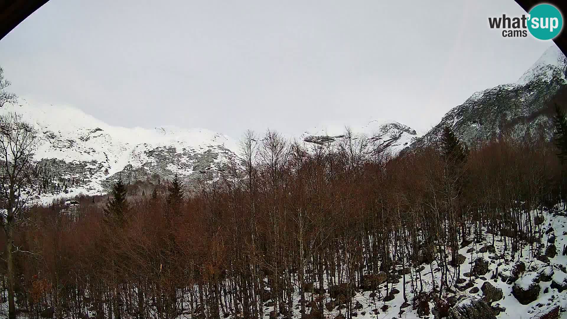Webcam PLANINA RAZOR (1315) | Blick auf Vogel und Globoko