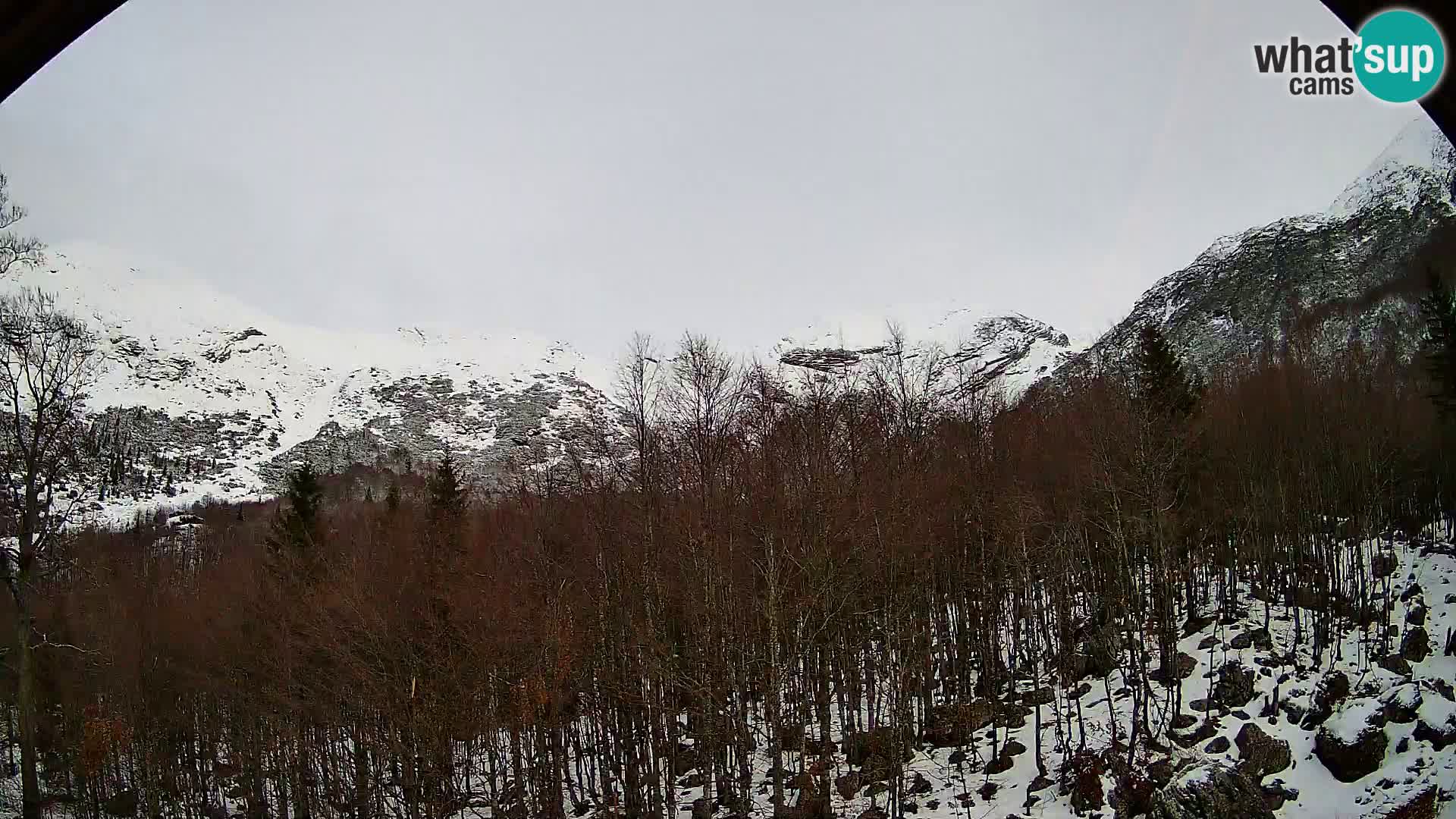 PLANINA RAZOR web kamera (1315) | pogled na Vogel i Globoko