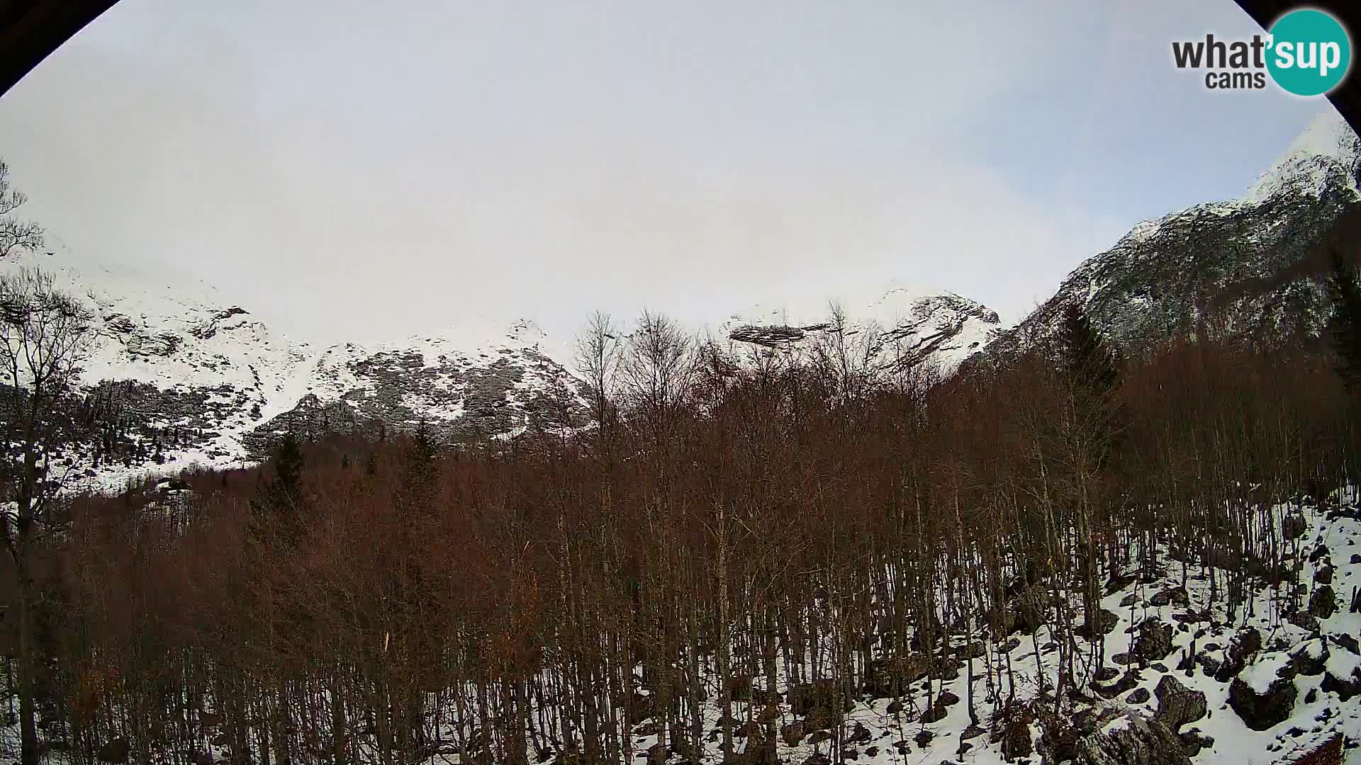 PLANINA RAZOR webcam (1315) | view to Vogel and Globoko
