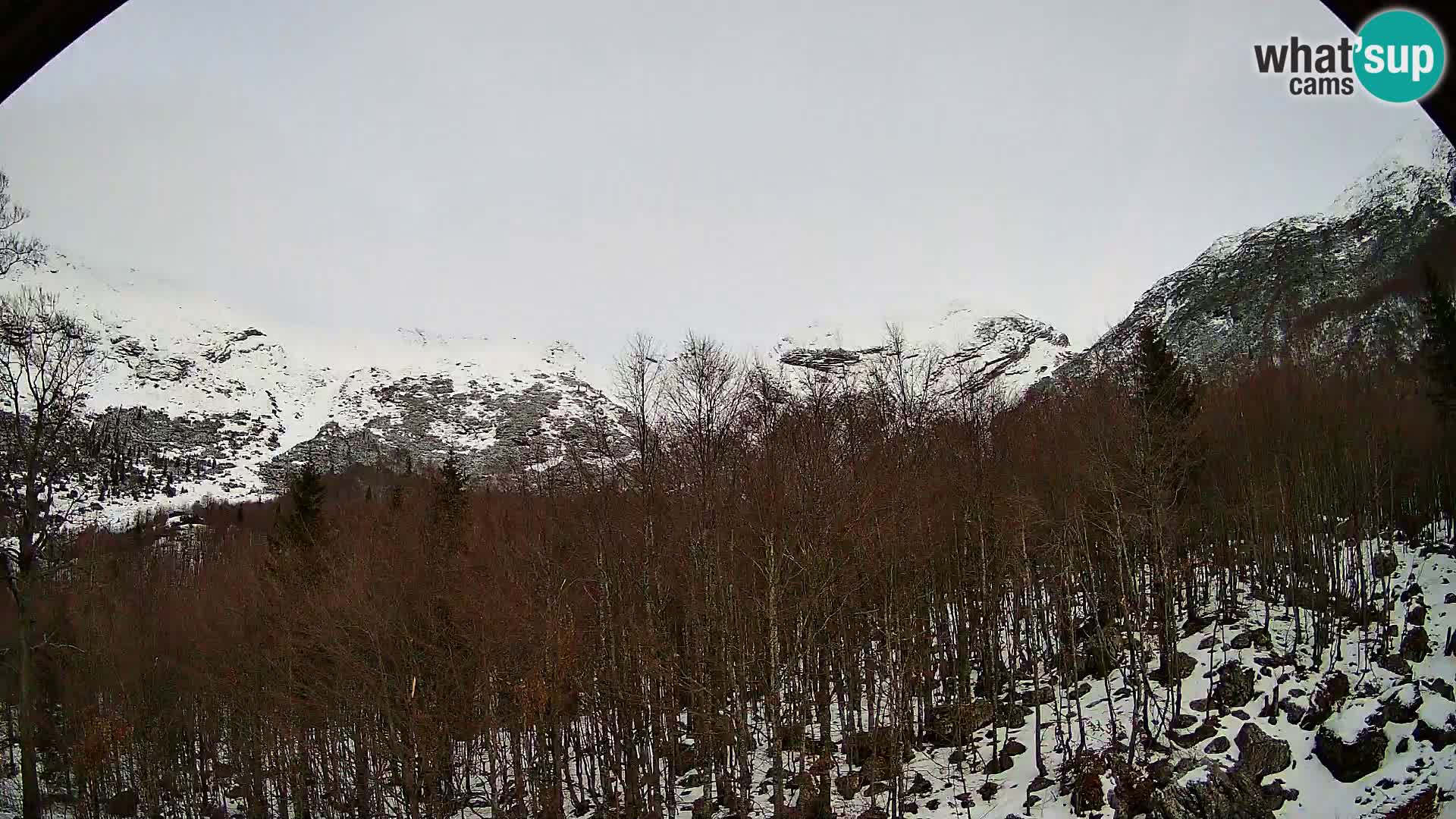 Livecam PLANINA RAZOR (1315) | vue sur Vogel et Globoko