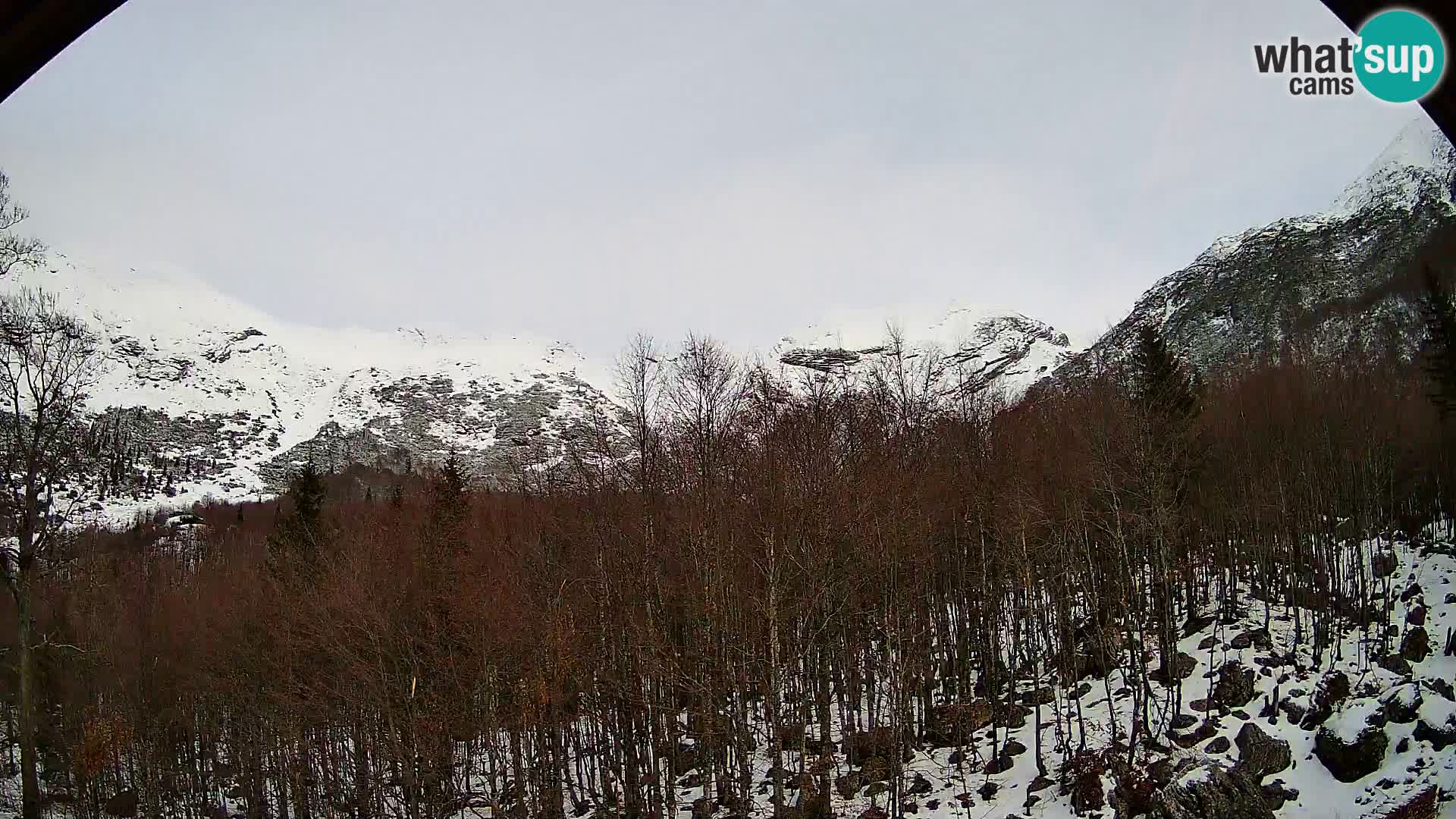 Webcam PLANINA RAZOR (1315) | Blick auf Vogel und Globoko