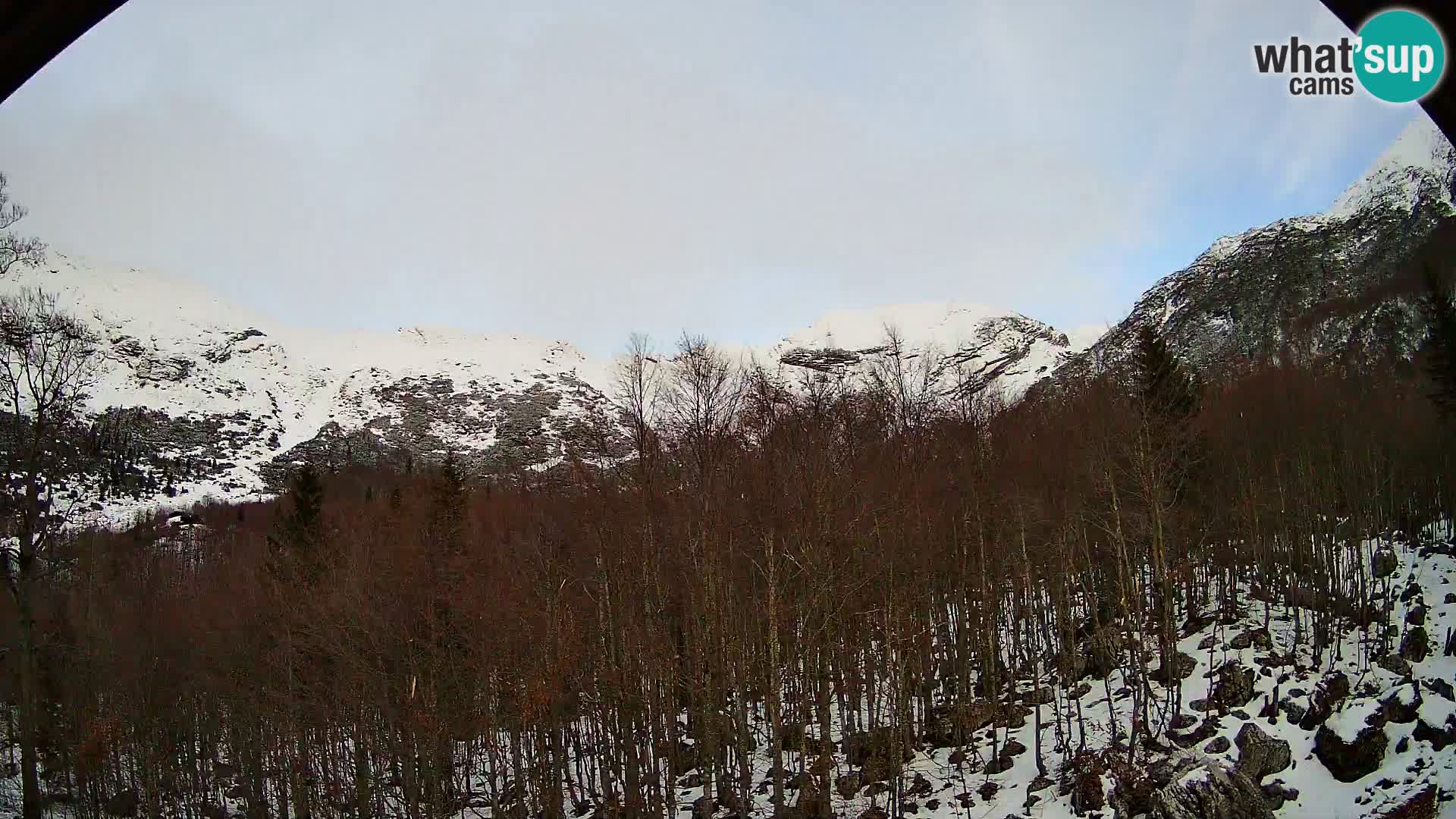 PLANINA RAZOR webcam (1315) | view to Vogel and Globoko