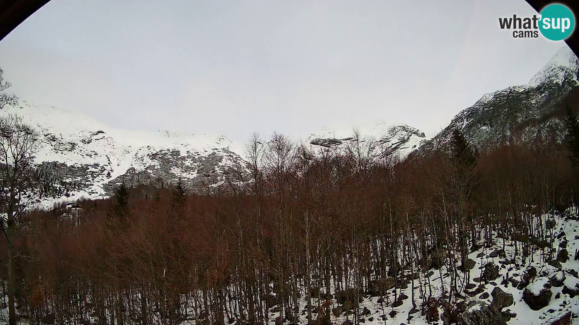 Webcam PLANINA RAZOR (1315) | Blick auf Vogel und Globoko