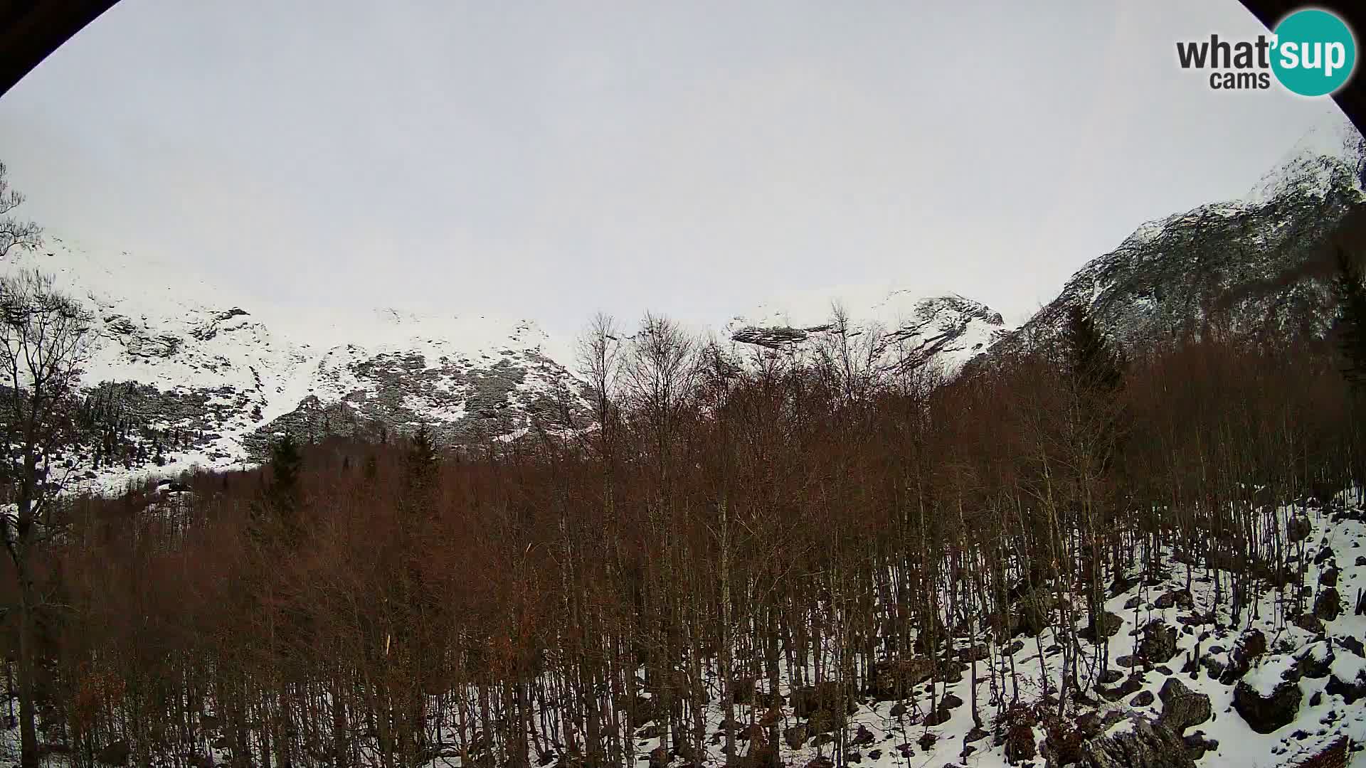PLANINA RAZOR Live Cam (1315) | vista su Vogel e Globoko