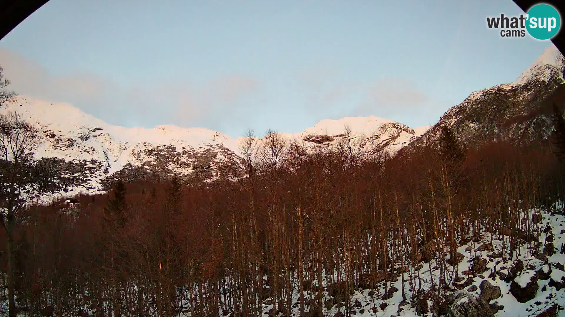 Livecam PLANINA RAZOR (1315) | vue sur Vogel et Globoko