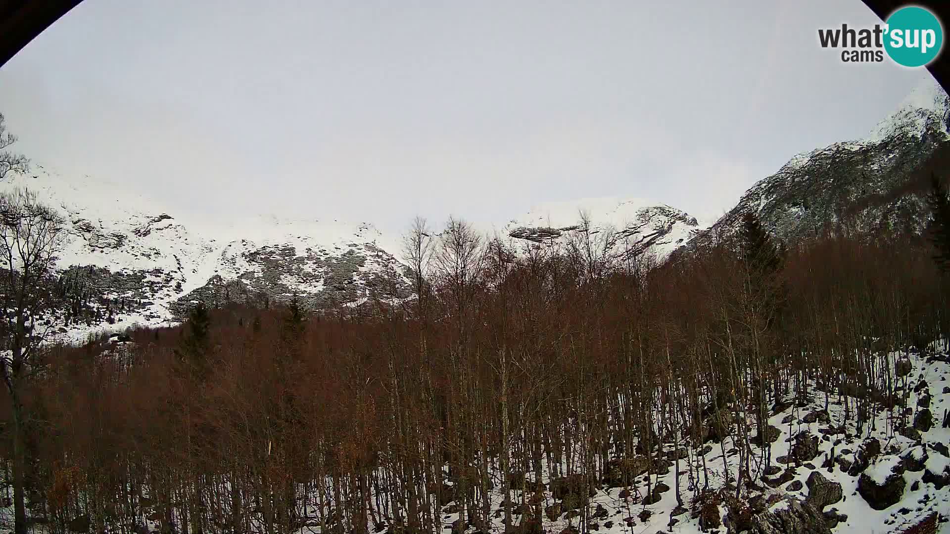 Livecam PLANINA RAZOR (1315) | vue sur Vogel et Globoko