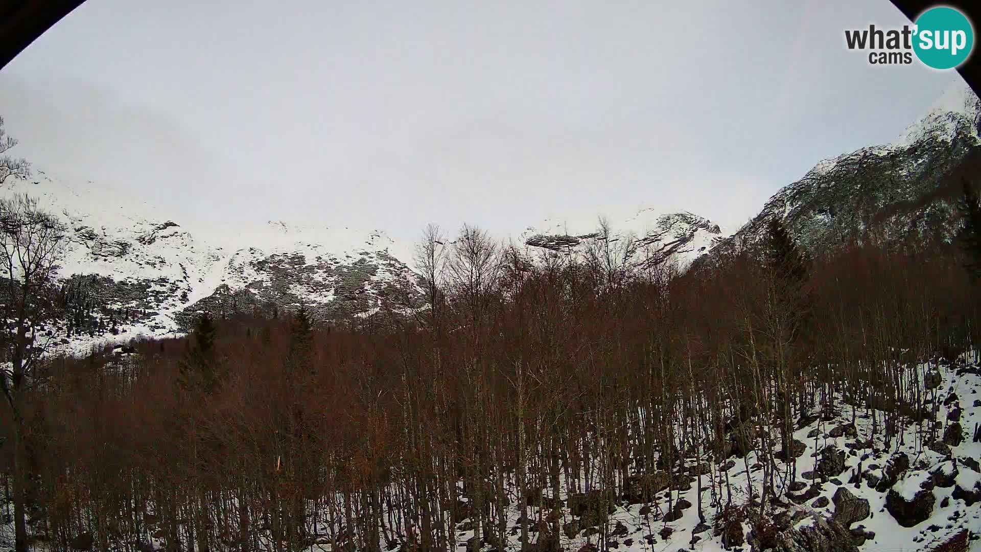 PLANINA RAZOR Live Cam (1315) | vista su Vogel e Globoko