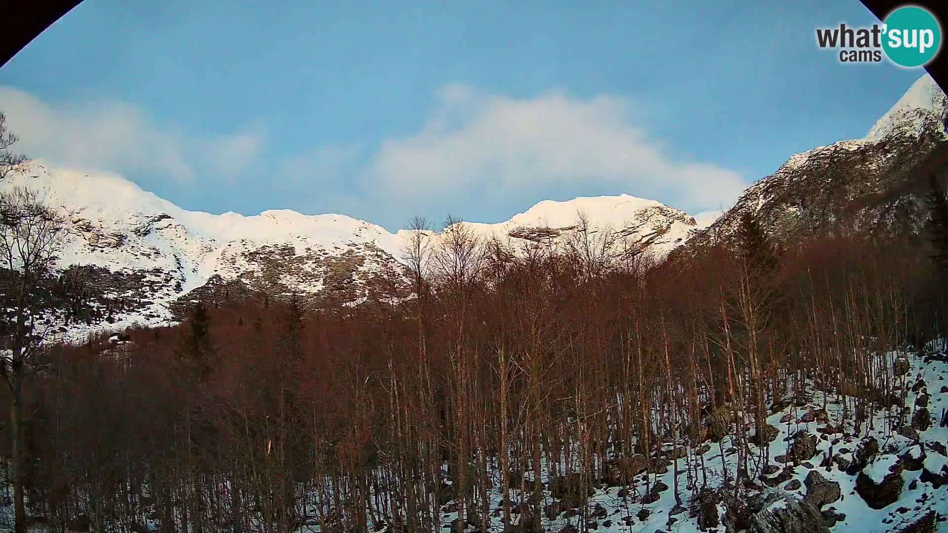 Webcam PLANINA RAZOR (1315) | Blick auf Vogel und Globoko