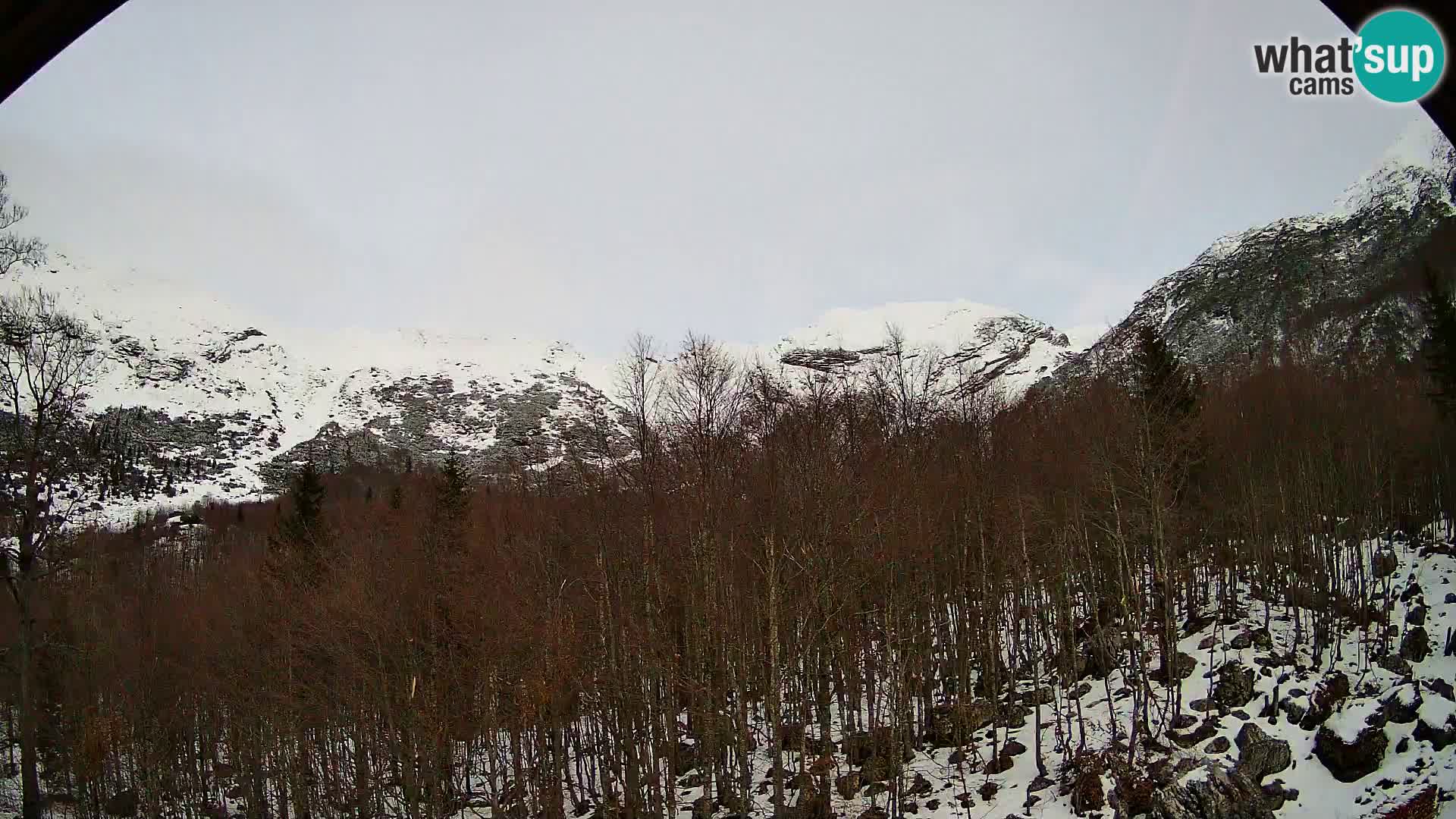 PLANINA RAZOR kamera (1315) | pogled na Vogel in Globoko