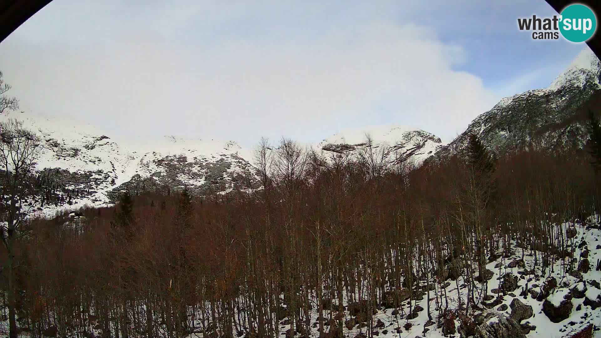 PLANINA RAZOR kamera (1315) | pogled na Vogel in Globoko