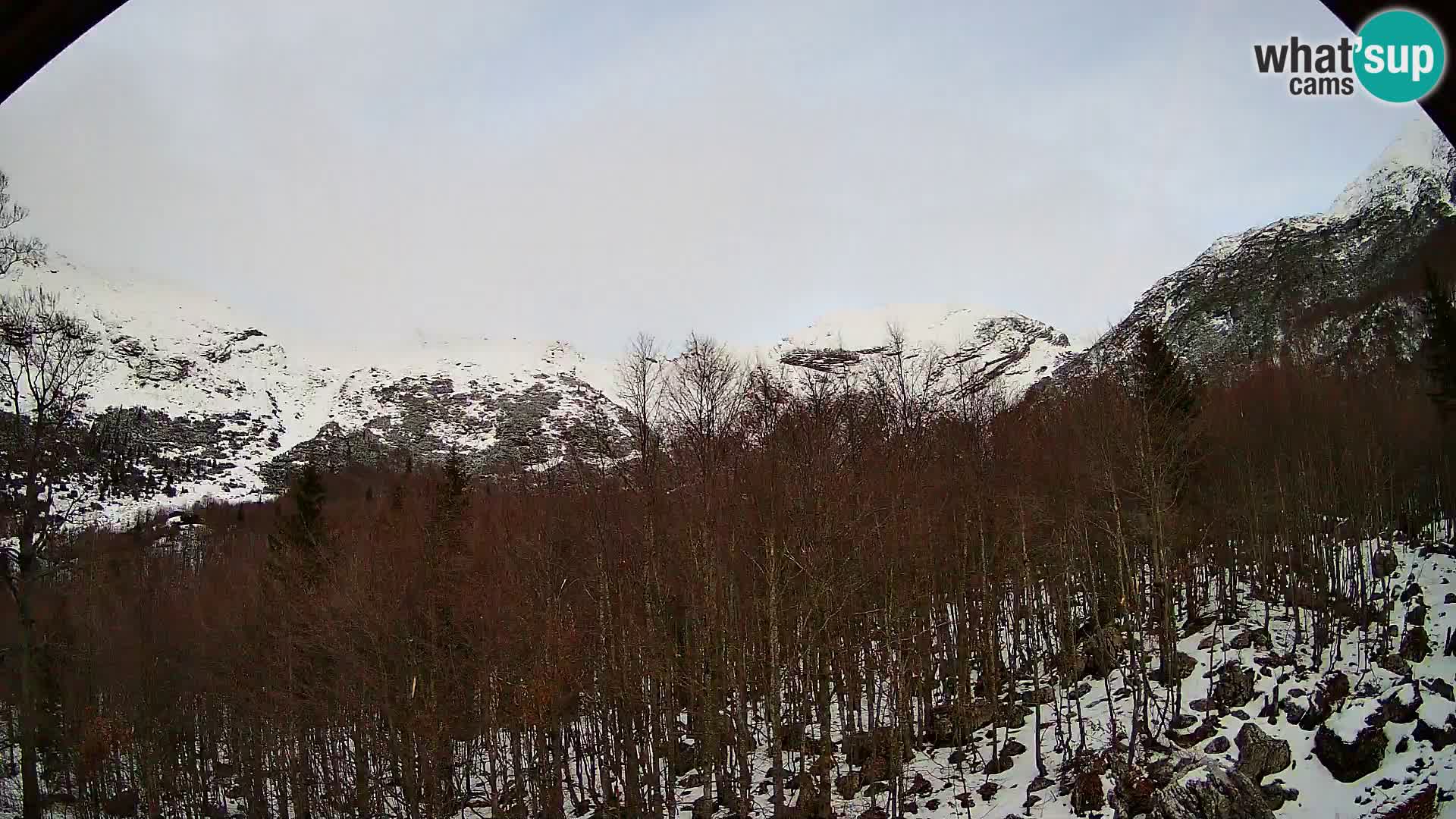 PLANINA RAZOR web kamera (1315) | pogled na Vogel i Globoko