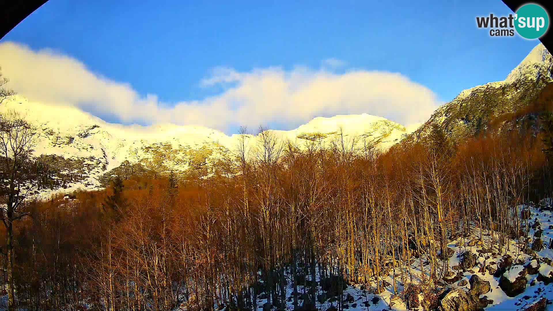 PLANINA RAZOR kamera (1315) | pogled na Vogel in Globoko
