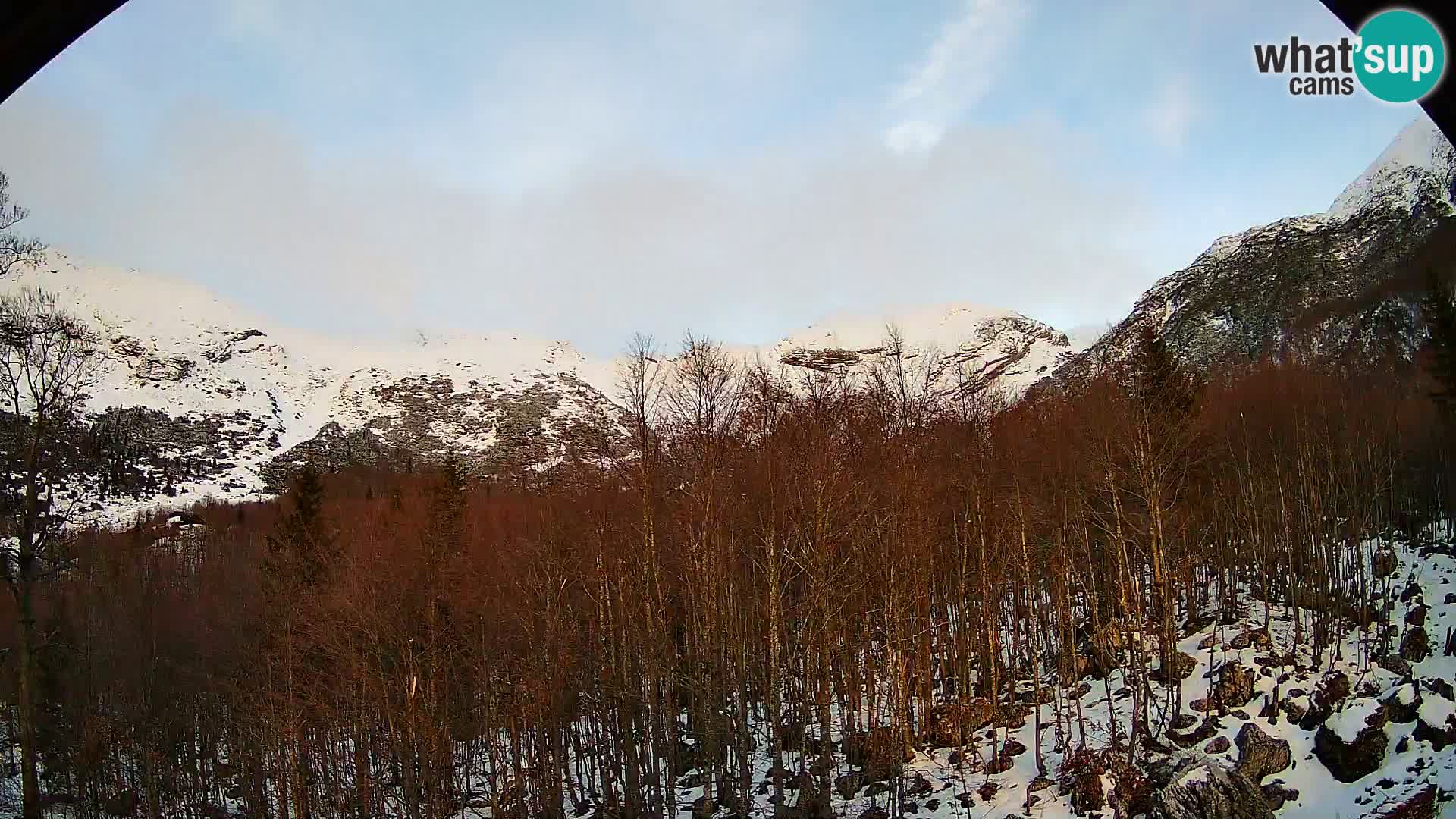 Webcam PLANINA RAZOR (1315) | Blick auf Vogel und Globoko