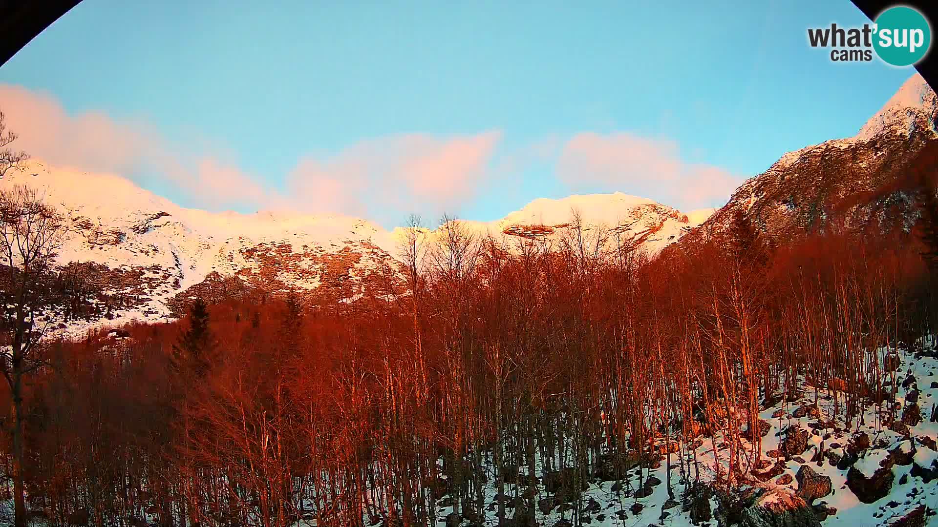 Webcam PLANINA RAZOR (1315) | Blick auf Vogel und Globoko