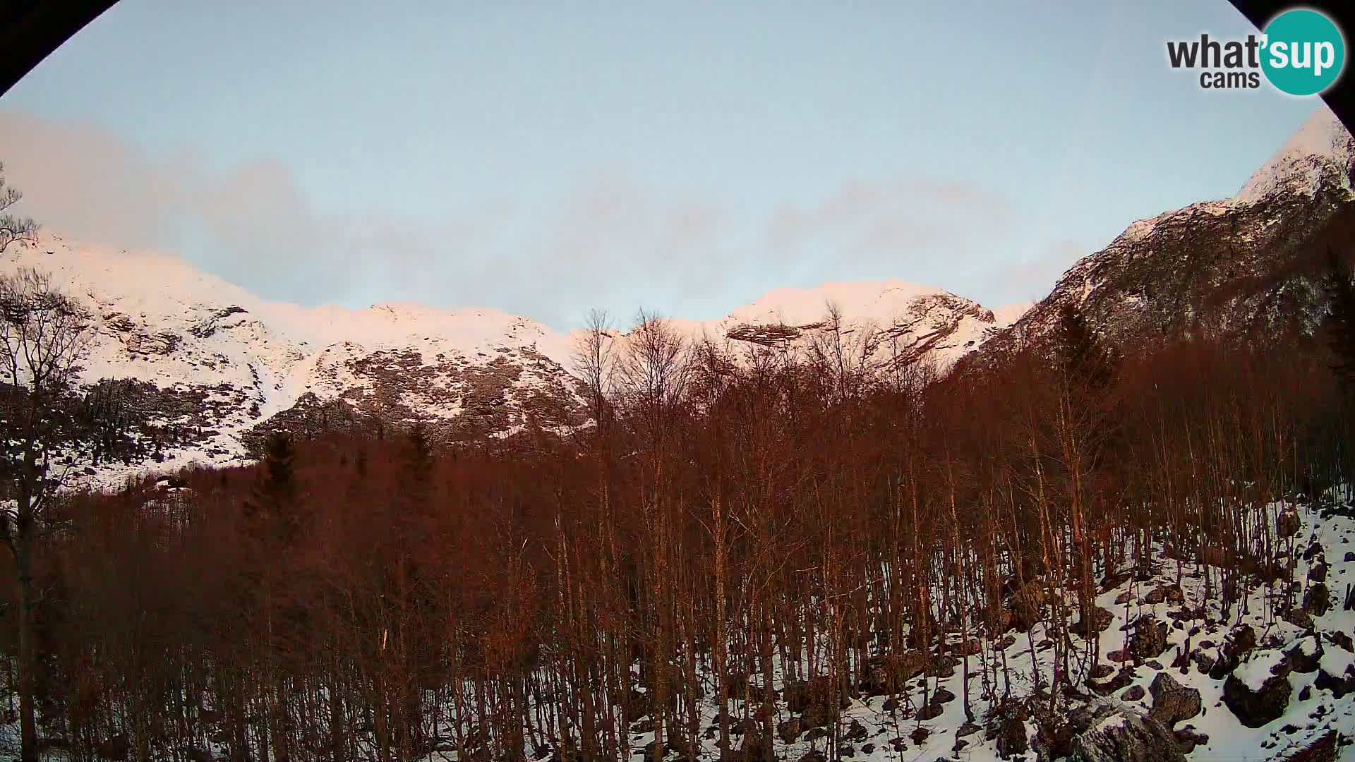 PLANINA RAZOR Live Cam (1315) | vista su Vogel e Globoko