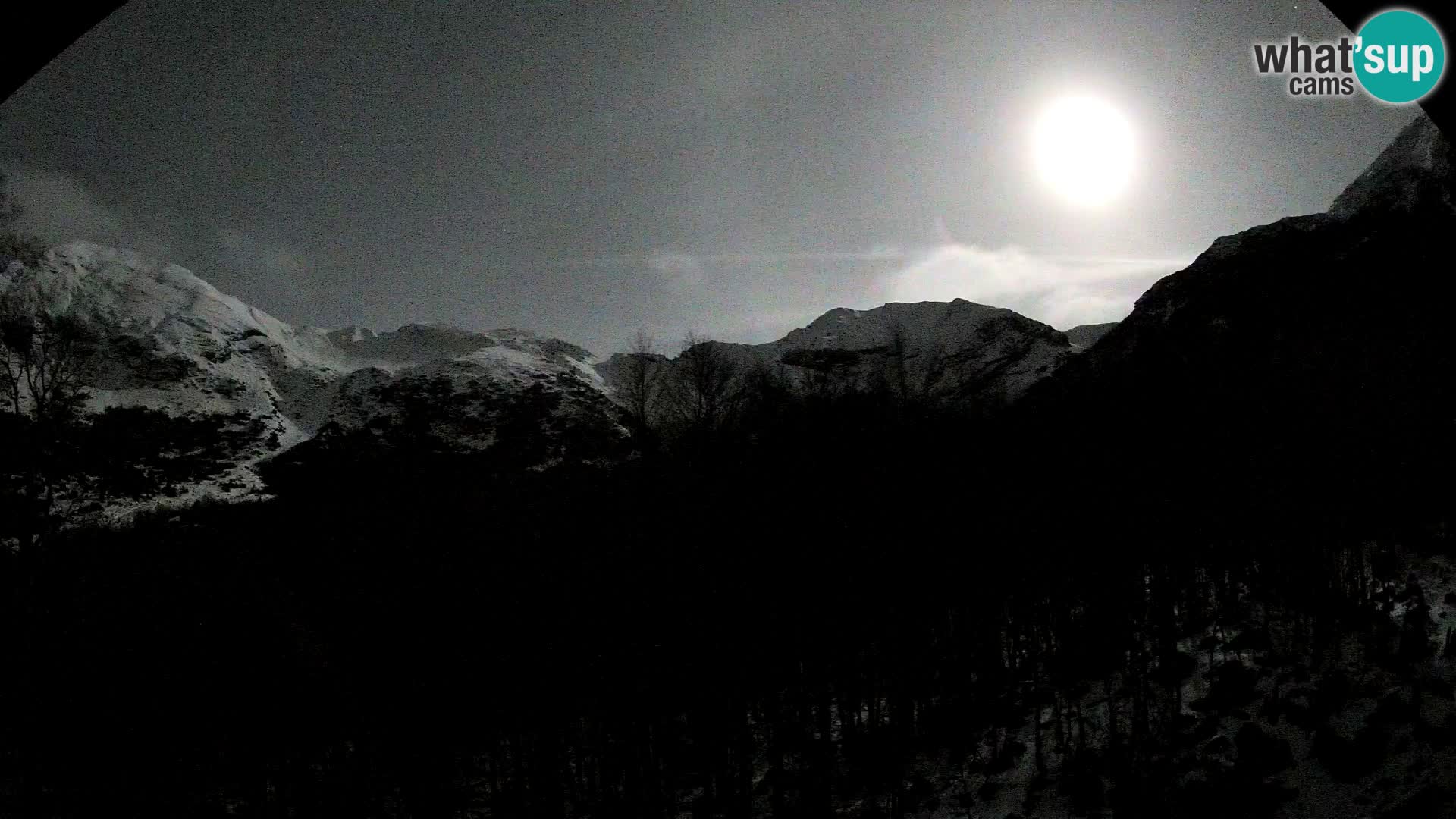 Livecam PLANINA RAZOR (1315) | vue sur Vogel et Globoko