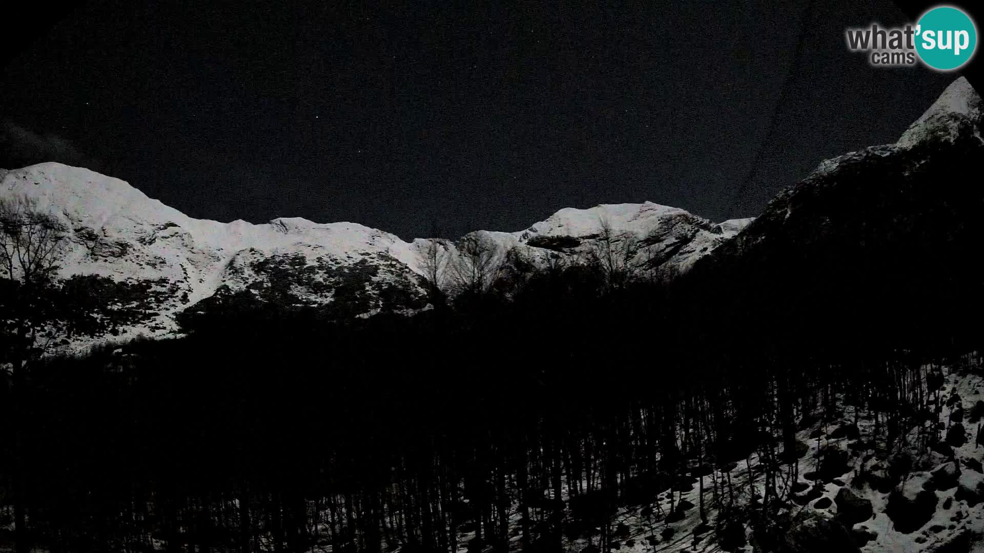 Livecam PLANINA RAZOR (1315) | vue sur Vogel et Globoko