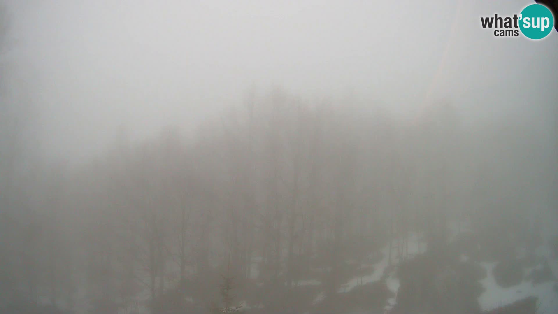 Webcam PLANINA RAZOR (1315) | Blick auf Vogel und Globoko