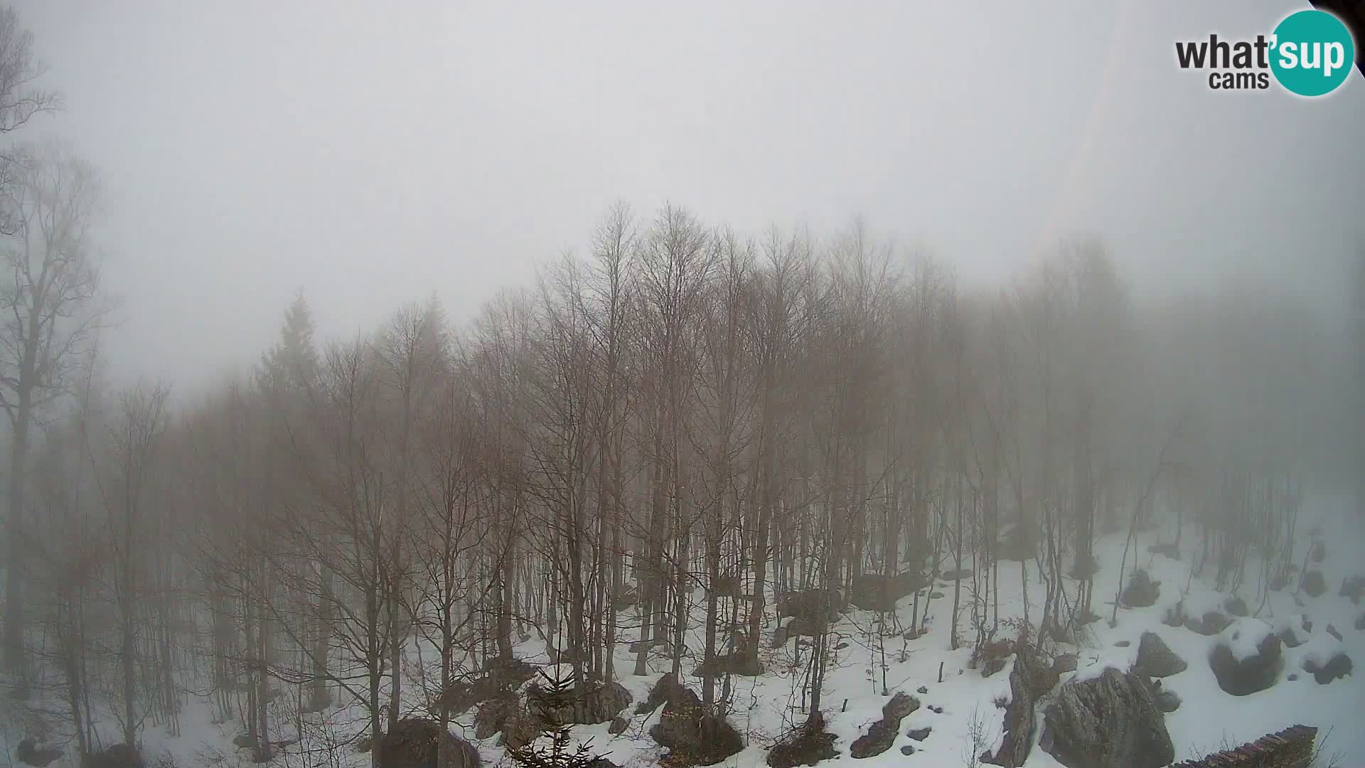 PLANINA RAZOR Live Cam (1315) | vista su Vogel e Globoko