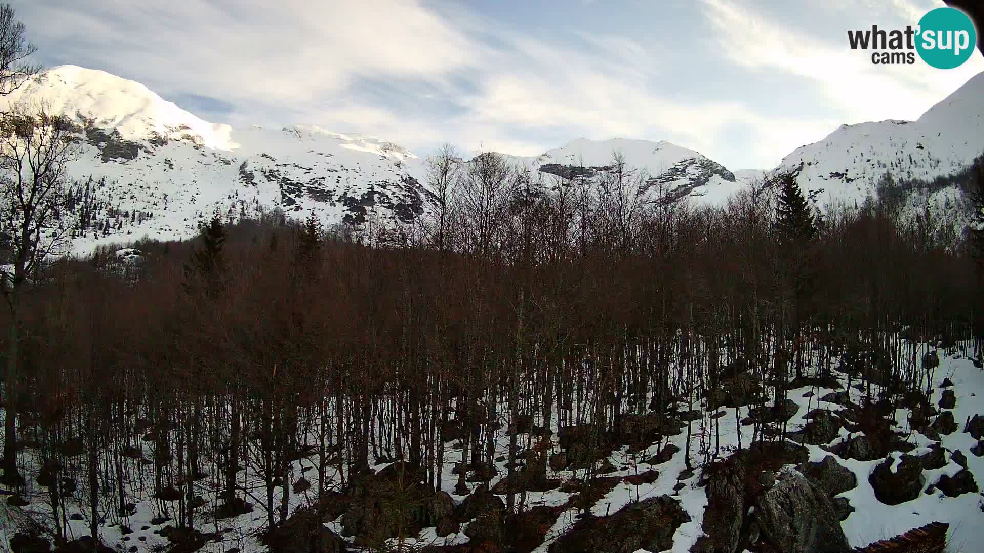 PLANINA RAZOR web kamera (1315) | pogled na Vogel i Globoko