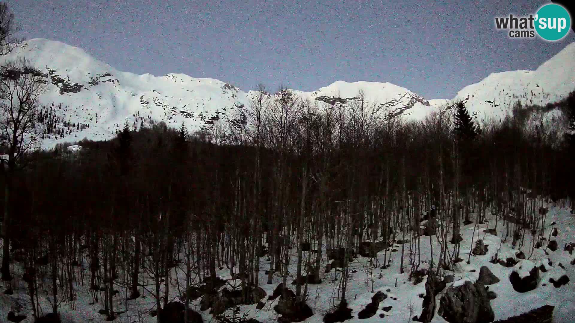 PLANINA RAZOR webcam (1315) | view to Vogel and Globoko