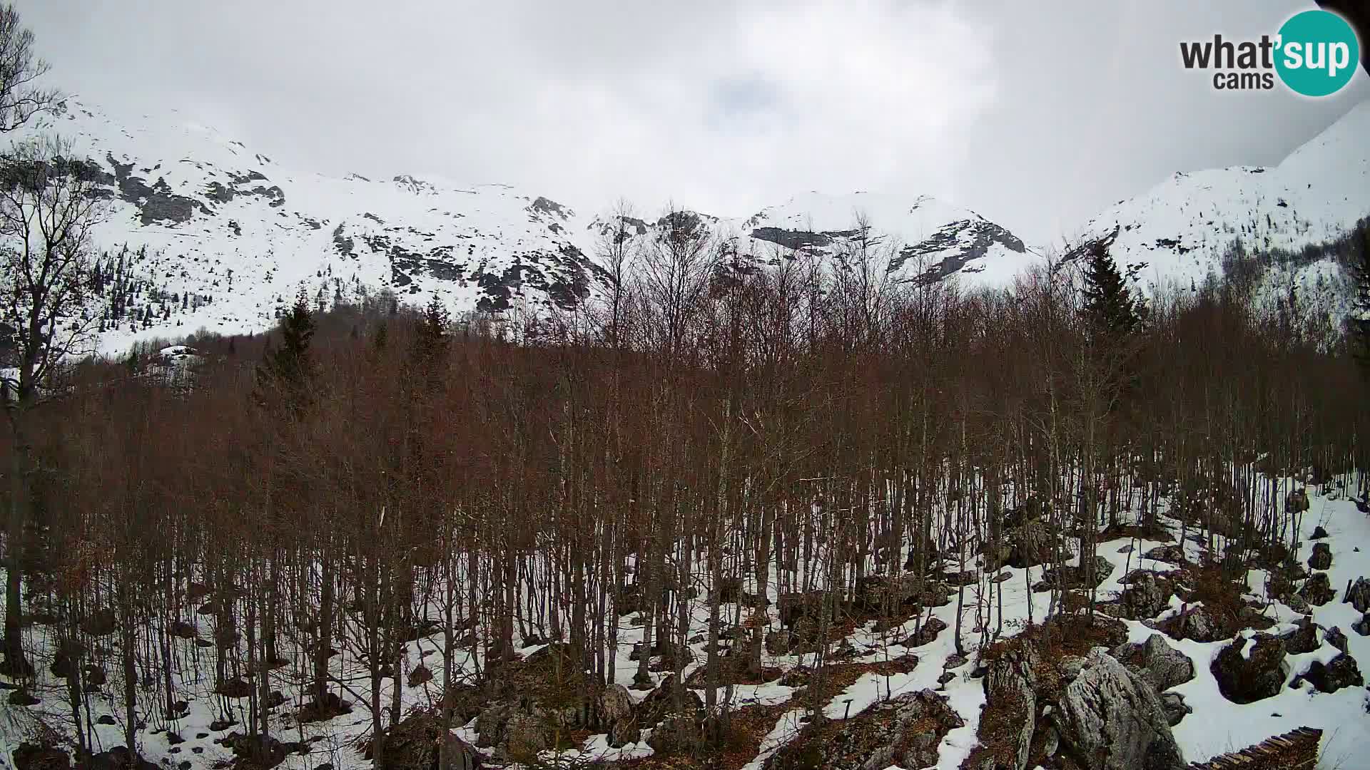 Livecam PLANINA RAZOR (1315) | vue sur Vogel et Globoko