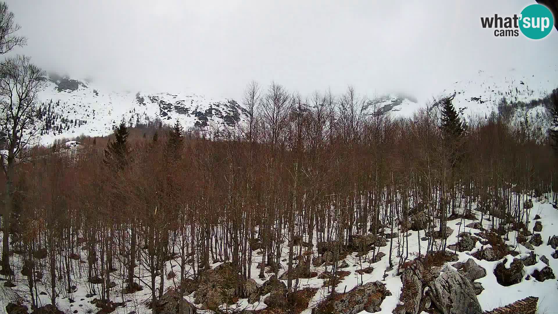 PLANINA RAZOR web kamera (1315) | pogled na Vogel i Globoko