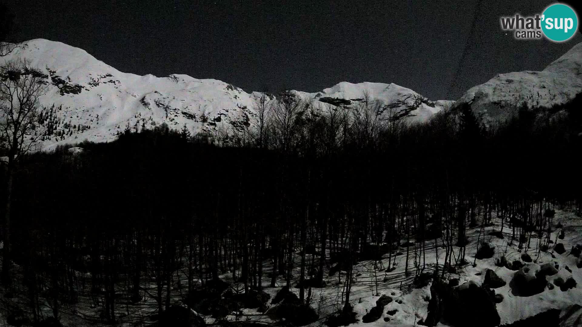 PLANINA RAZOR kamera (1315) | pogled na Vogel in Globoko
