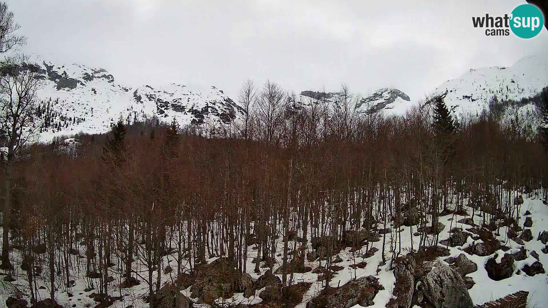 Webcam PLANINA RAZOR (1315) | Blick auf Vogel und Globoko