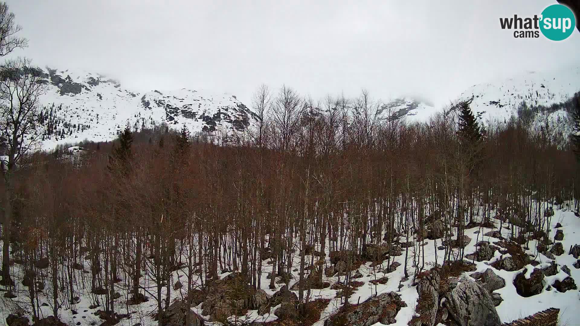 PLANINA RAZOR webcam (1315) | view to Vogel and Globoko