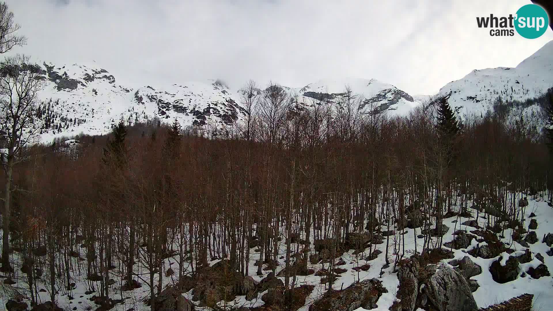 PLANINA RAZOR webcam (1315) | view to Vogel and Globoko