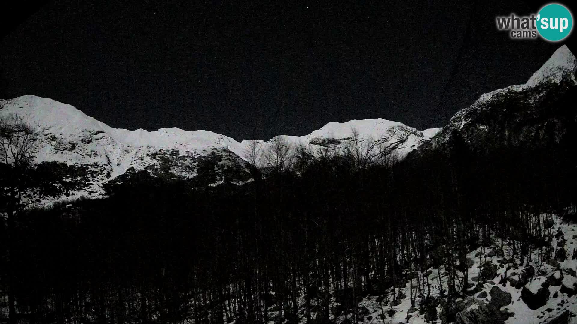 Livecam PLANINA RAZOR (1315) | vue sur Vogel et Globoko