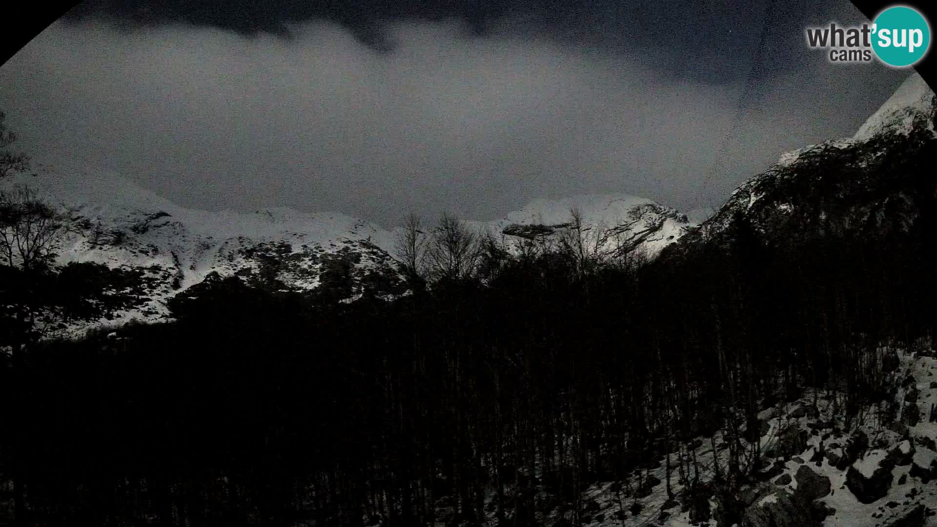 Webcam PLANINA RAZOR (1315) | Blick auf Vogel und Globoko