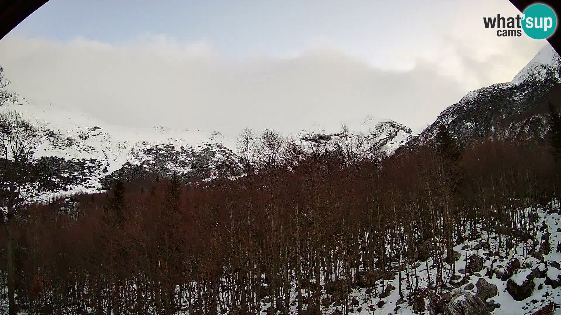 Cámara web PLANINA RAZOR (1315) | vista a Vogel y Globoko