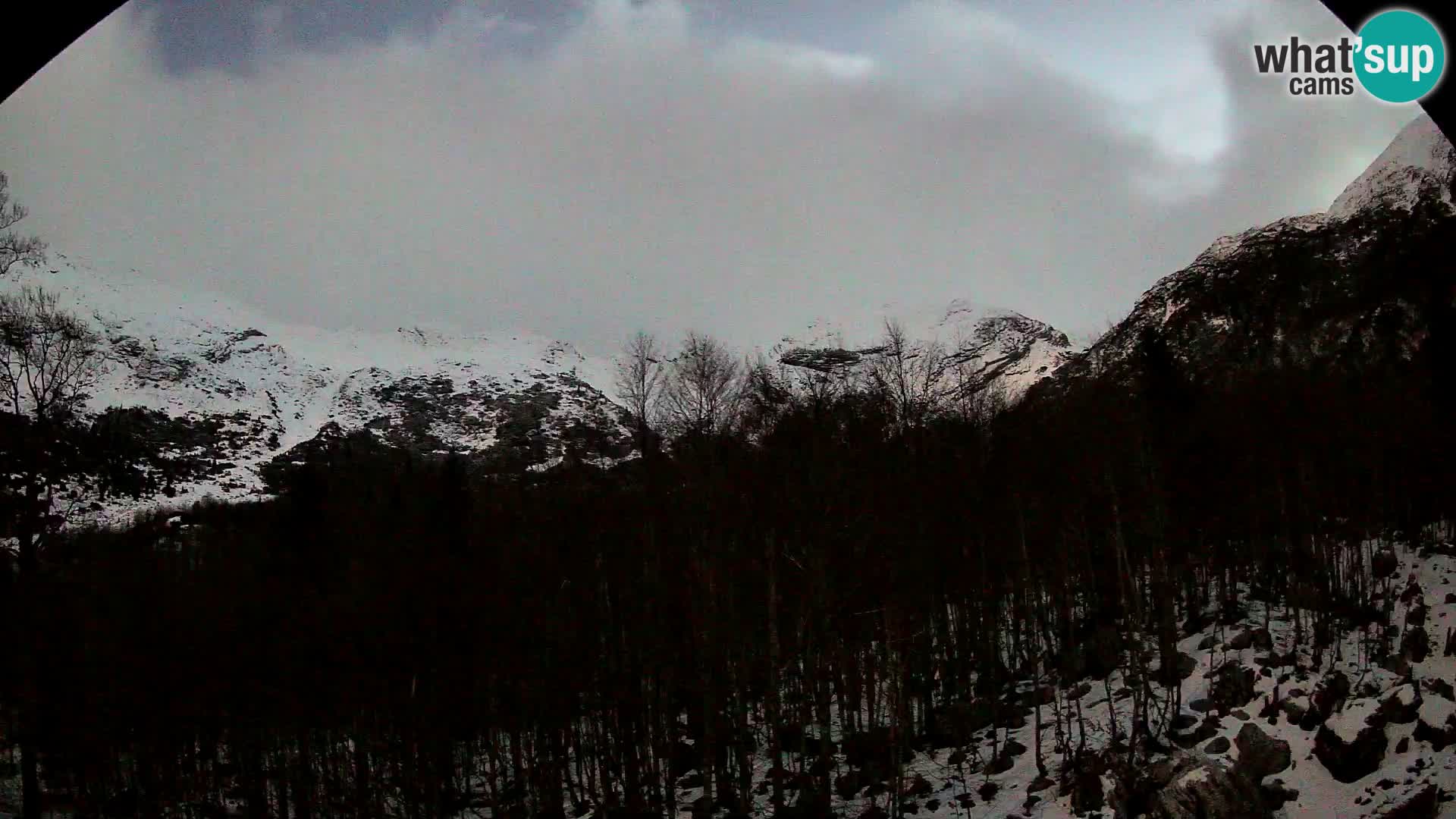 Livecam PLANINA RAZOR (1315) | vue sur Vogel et Globoko