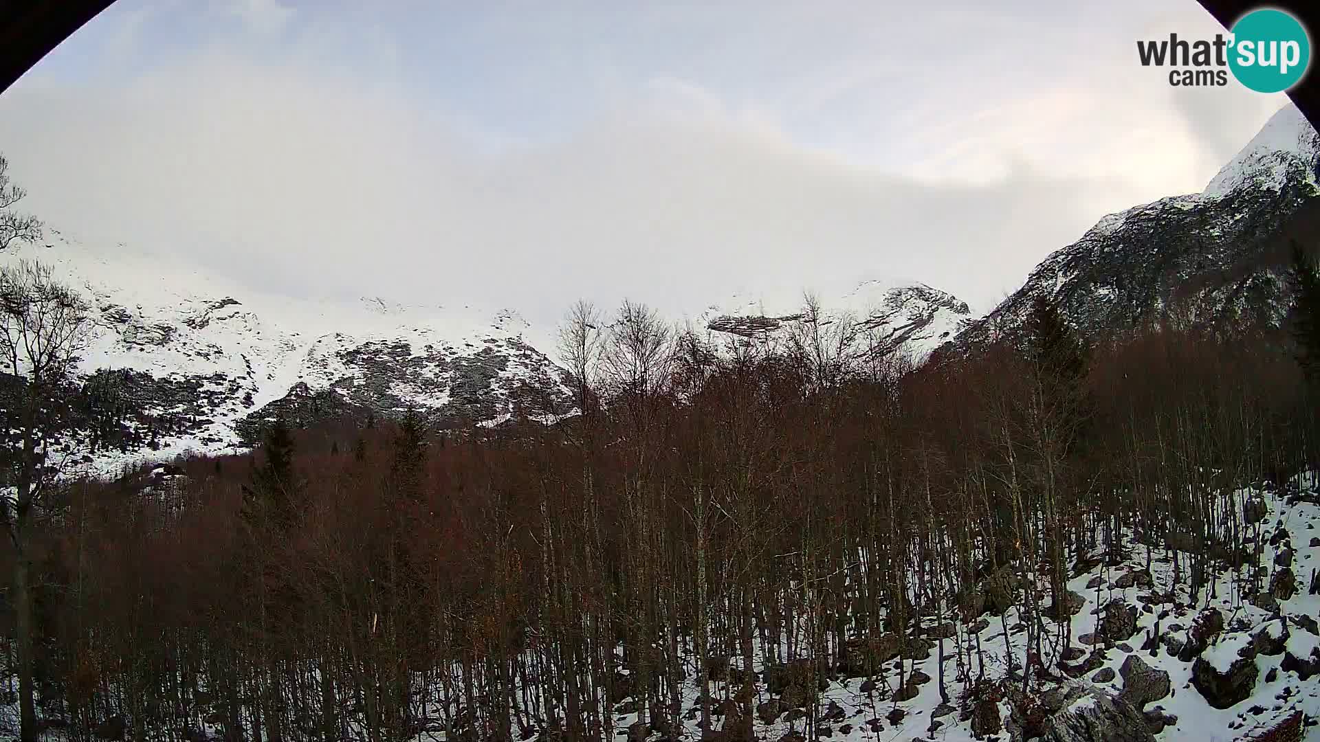 PLANINA RAZOR Live Cam (1315) | vista su Vogel e Globoko