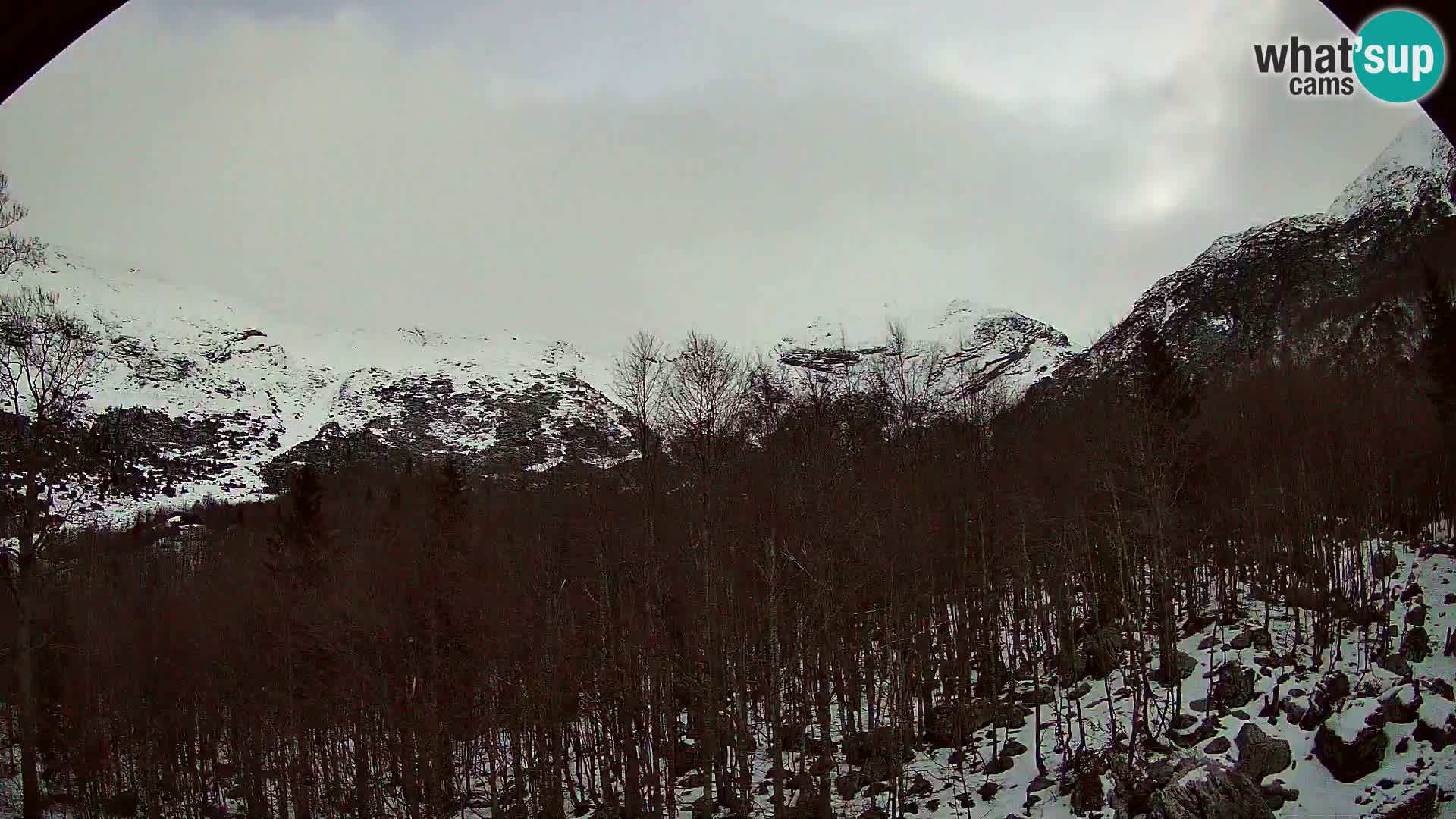 PLANINA RAZOR Live Cam (1315) | vista su Vogel e Globoko