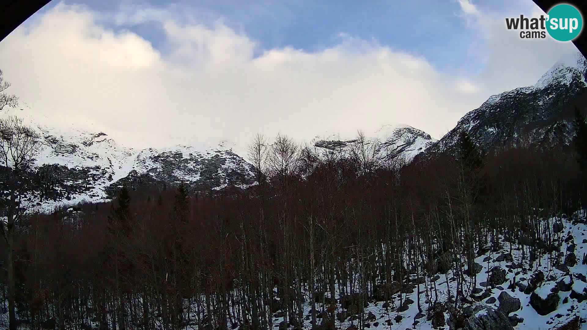 PLANINA RAZOR Live Cam (1315) | vista su Vogel e Globoko