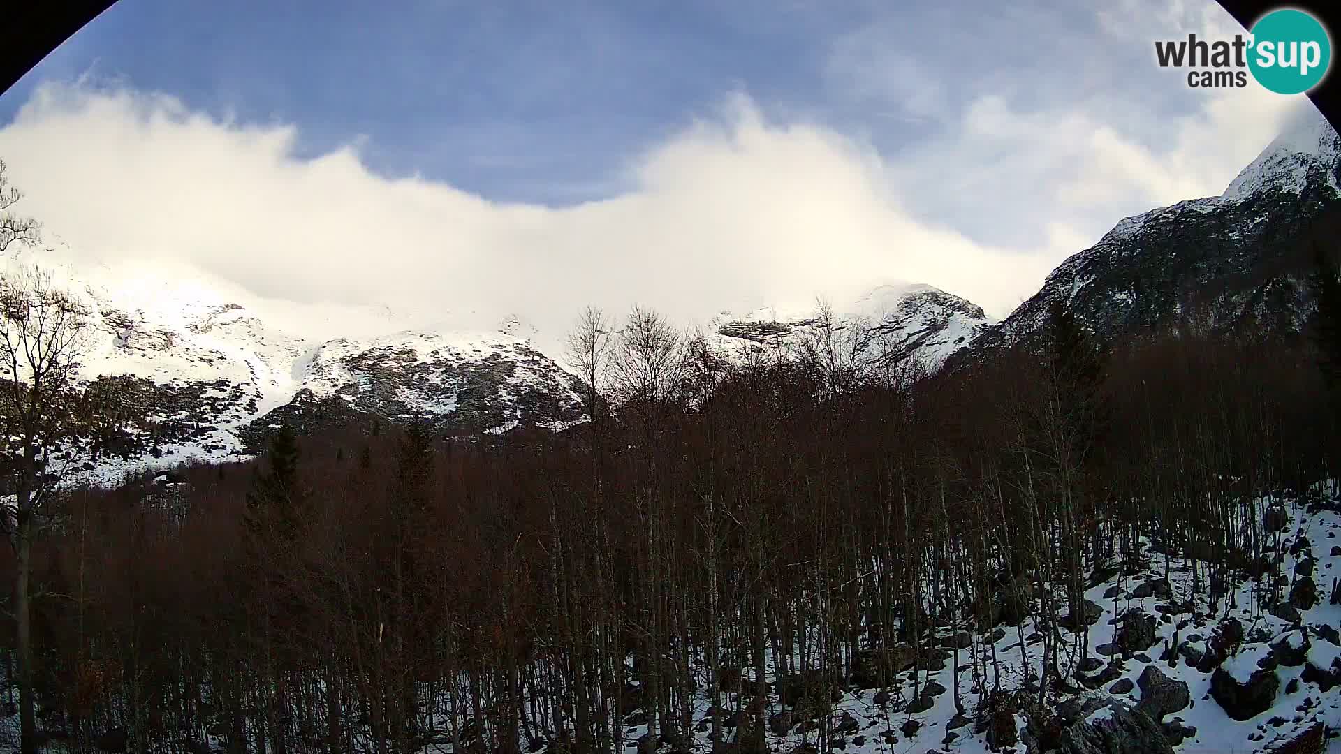 PLANINA RAZOR Live Cam (1315) | vista su Vogel e Globoko