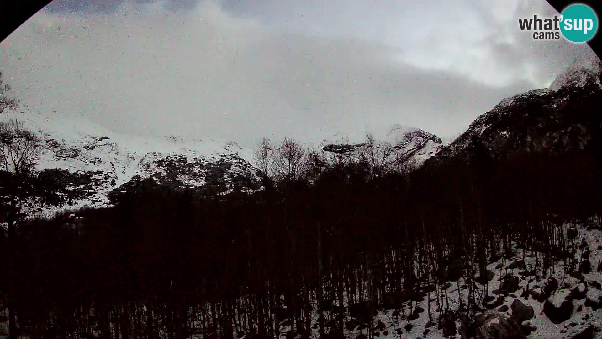 Webcam PLANINA RAZOR (1315) | Blick auf Vogel und Globoko