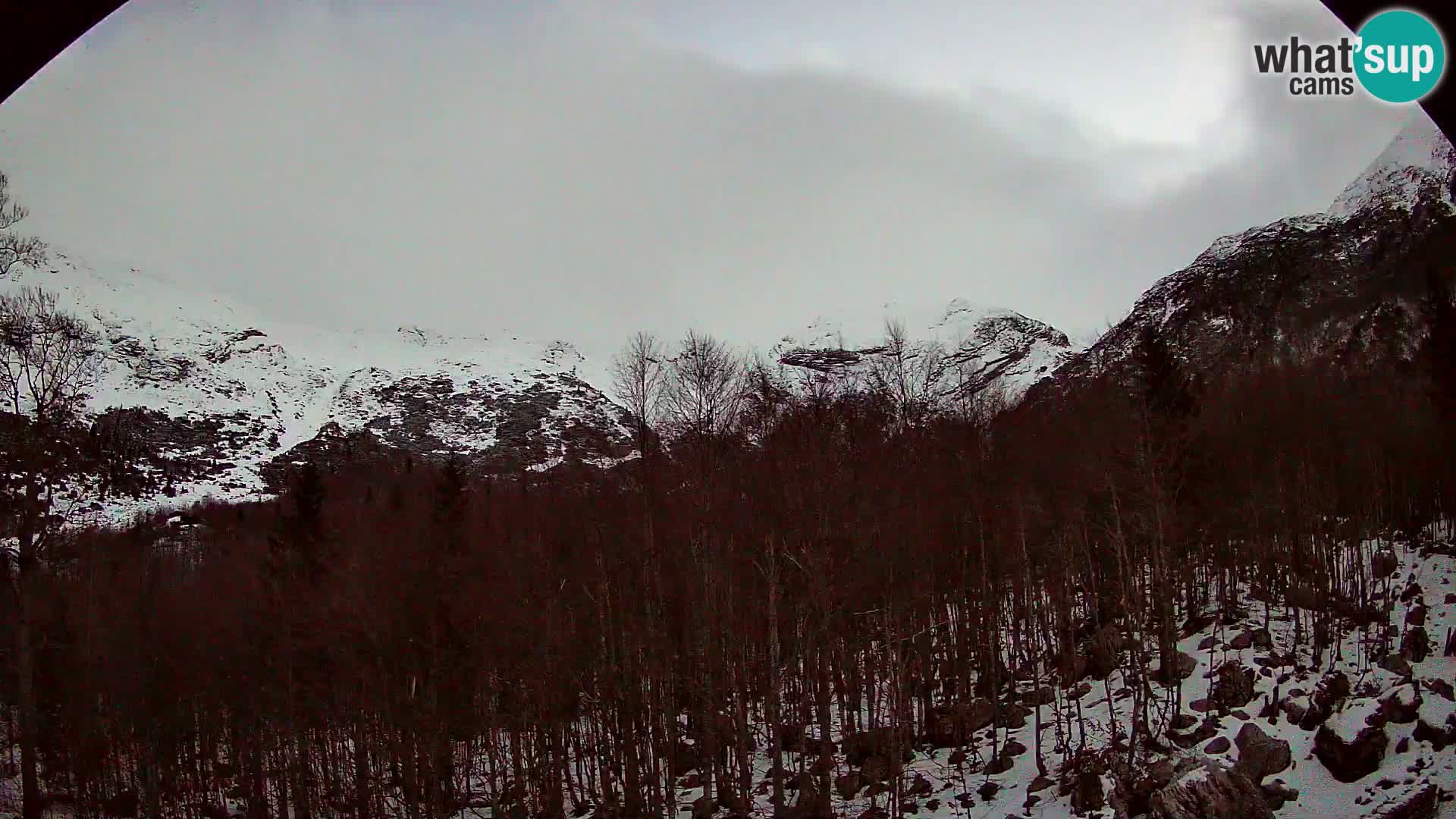 Livecam PLANINA RAZOR (1315) | vue sur Vogel et Globoko