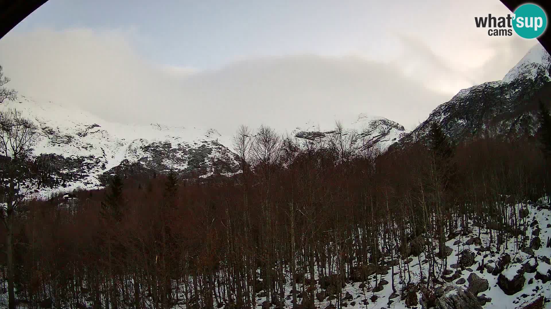 Webcam PLANINA RAZOR (1315) | Blick auf Vogel und Globoko