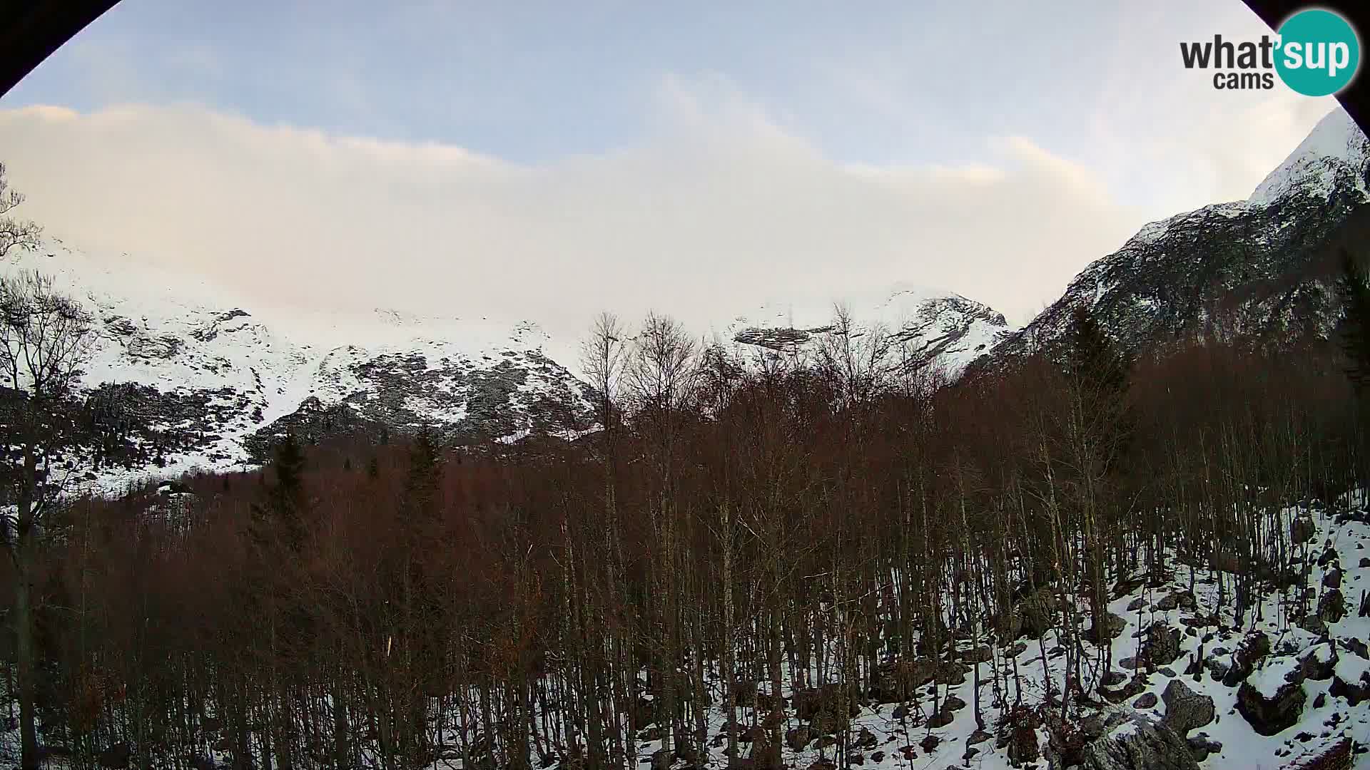 Webcam PLANINA RAZOR (1315) | Blick auf Vogel und Globoko