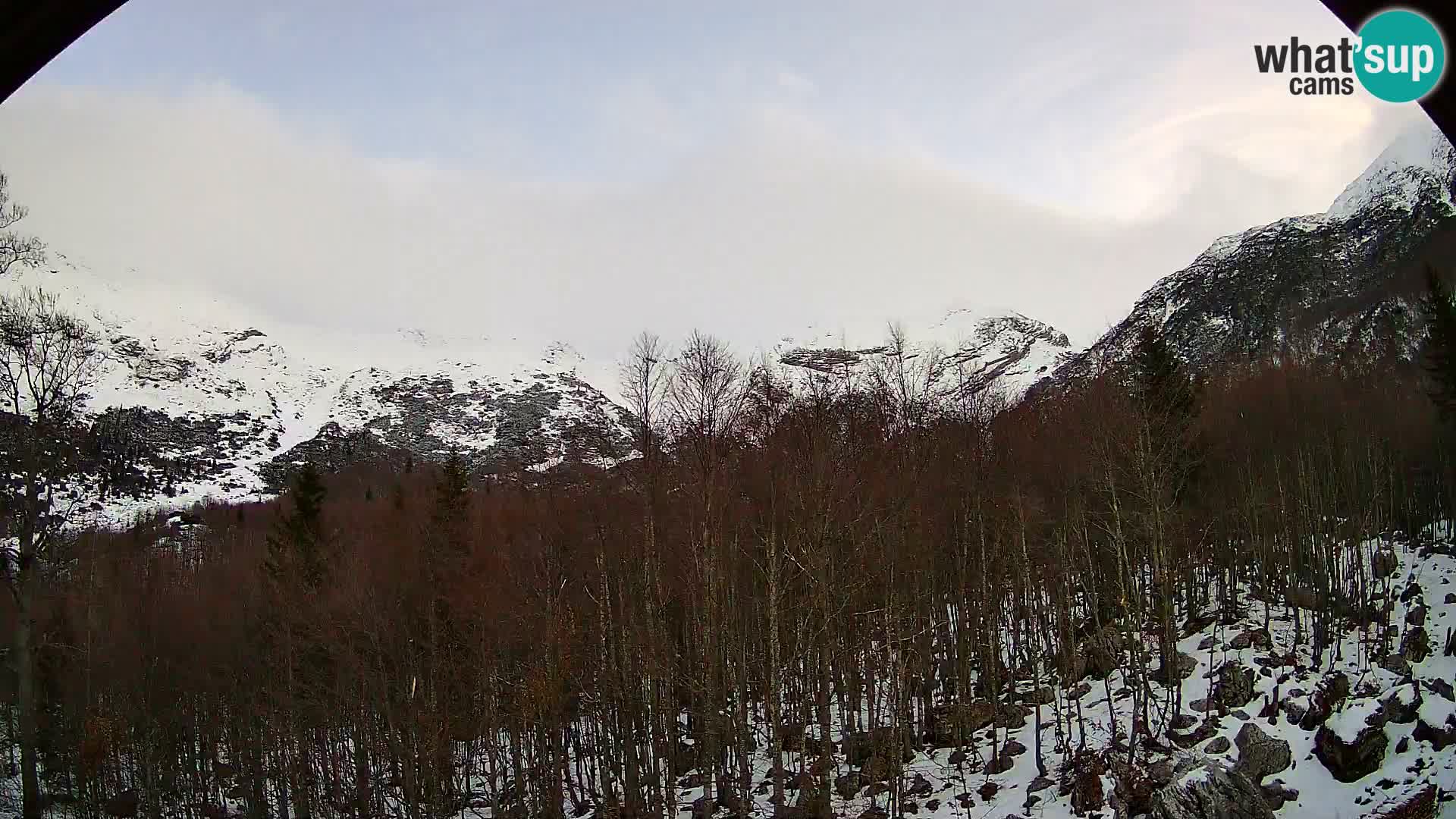 PLANINA RAZOR web kamera (1315) | pogled na Vogel i Globoko