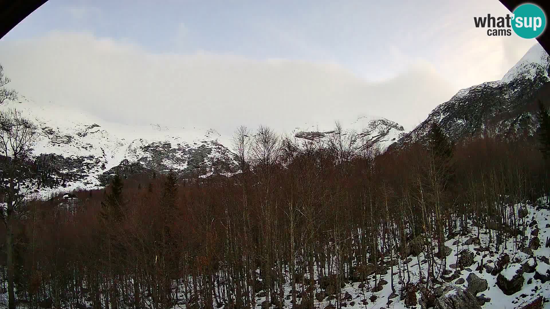 PLANINA RAZOR web kamera (1315) | pogled na Vogel i Globoko