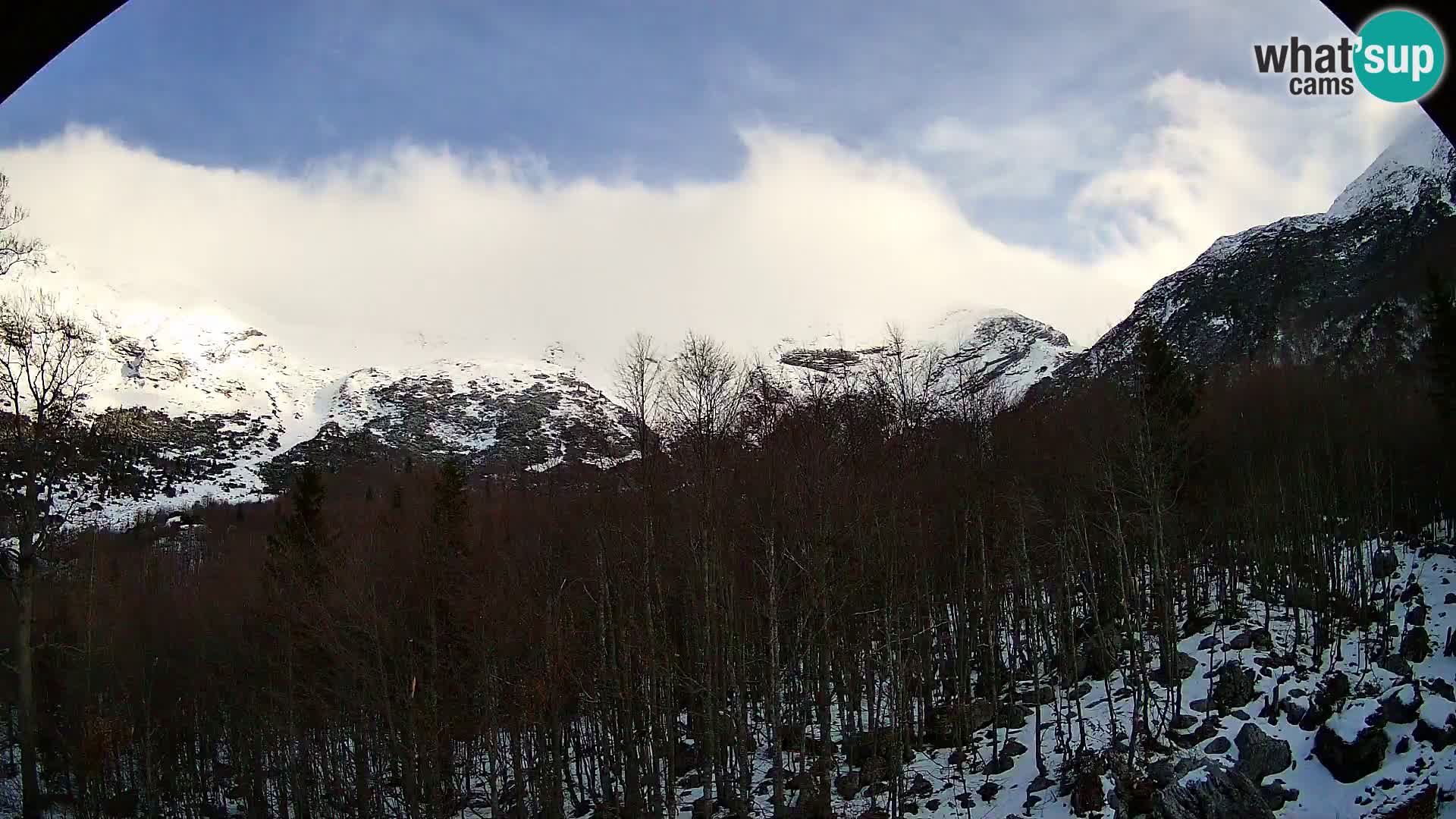 PLANINA RAZOR kamera (1315) | pogled na Vogel in Globoko