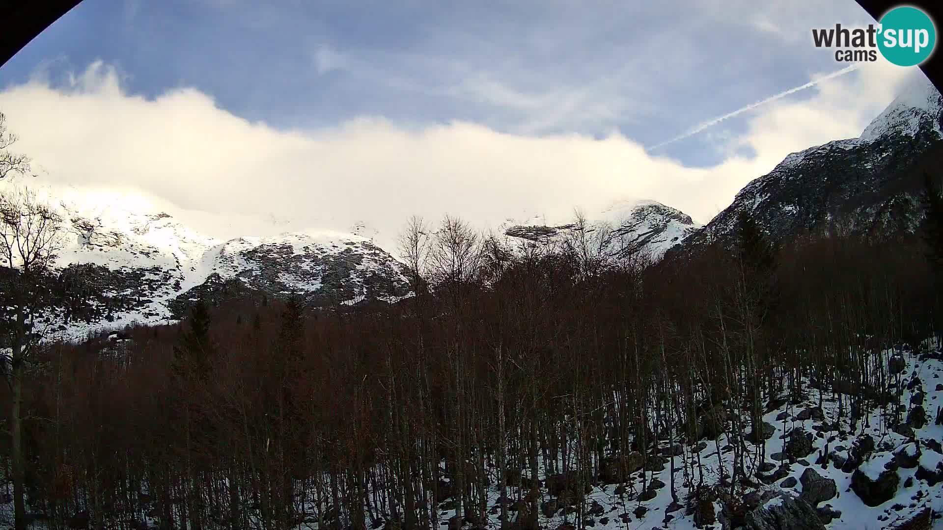 Livecam PLANINA RAZOR (1315) | vue sur Vogel et Globoko