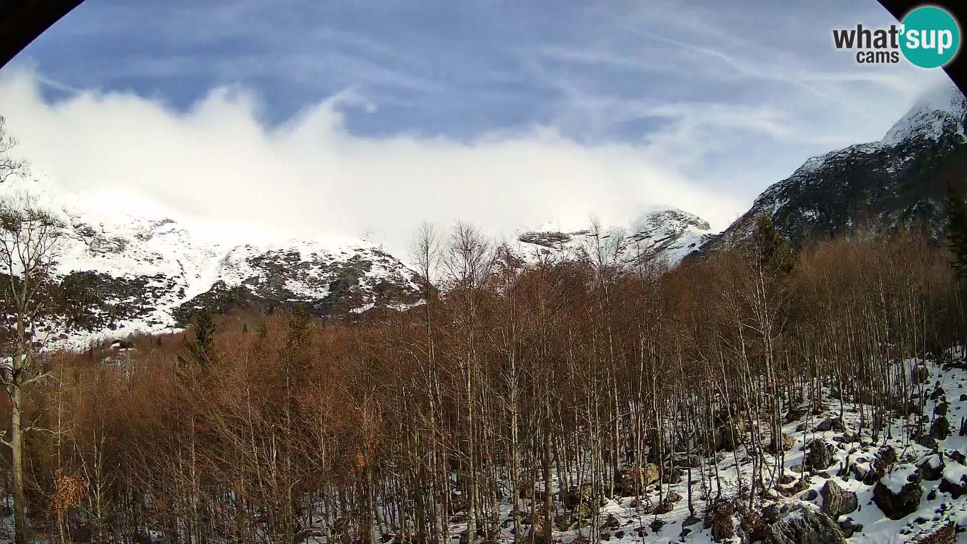 Webcam PLANINA RAZOR (1315) | Blick auf Vogel und Globoko