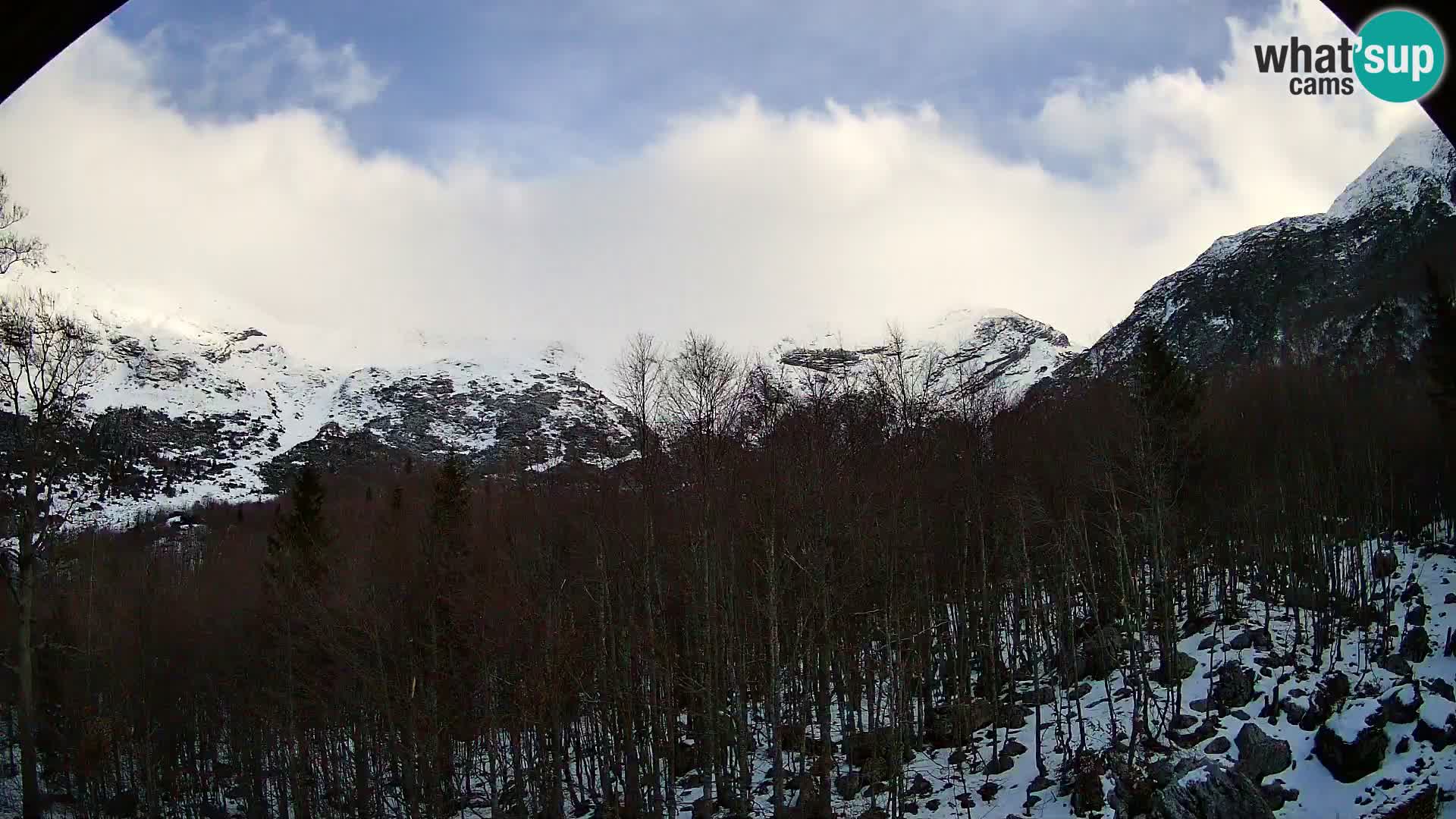 Webcam PLANINA RAZOR (1315) | Blick auf Vogel und Globoko