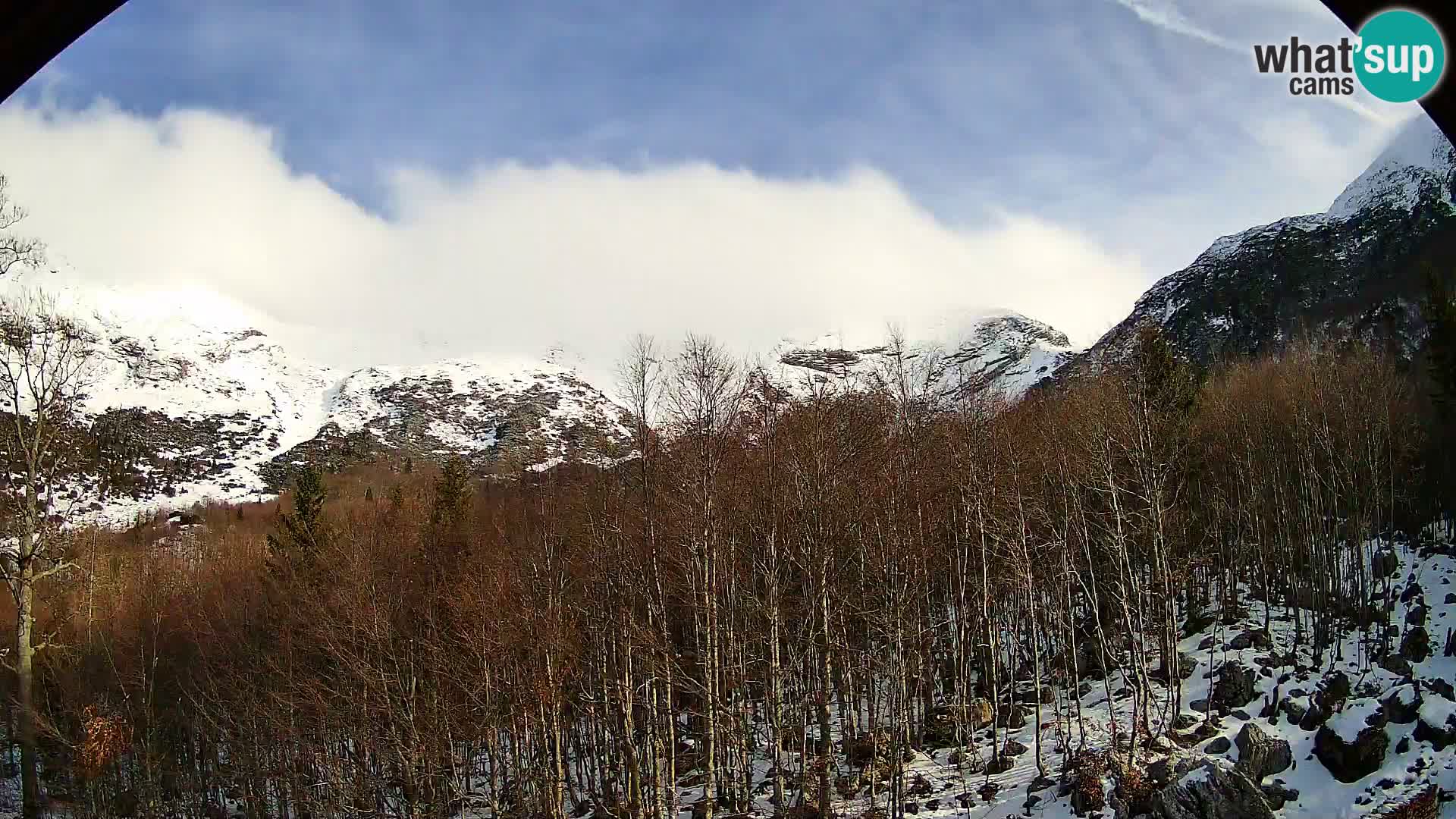Cámara web PLANINA RAZOR (1315) | vista a Vogel y Globoko